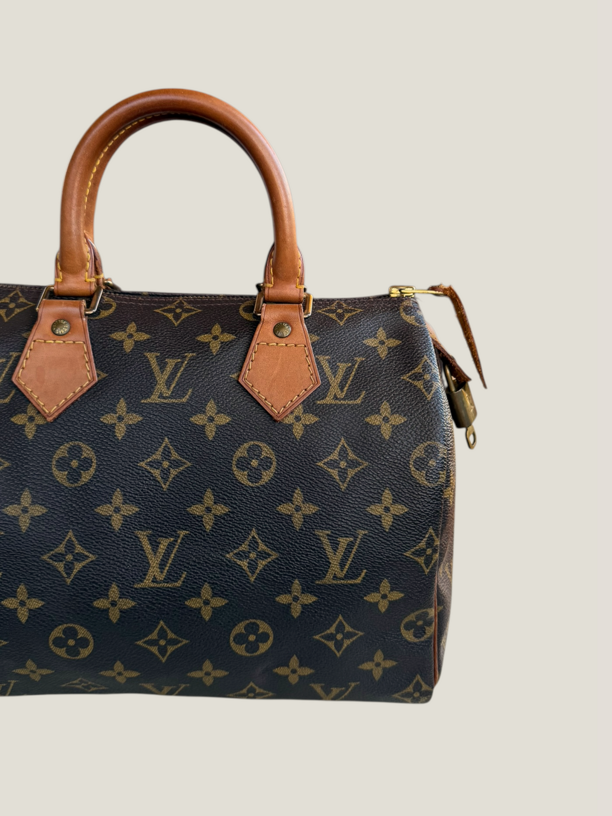 Louis Vuitton Speedy 25