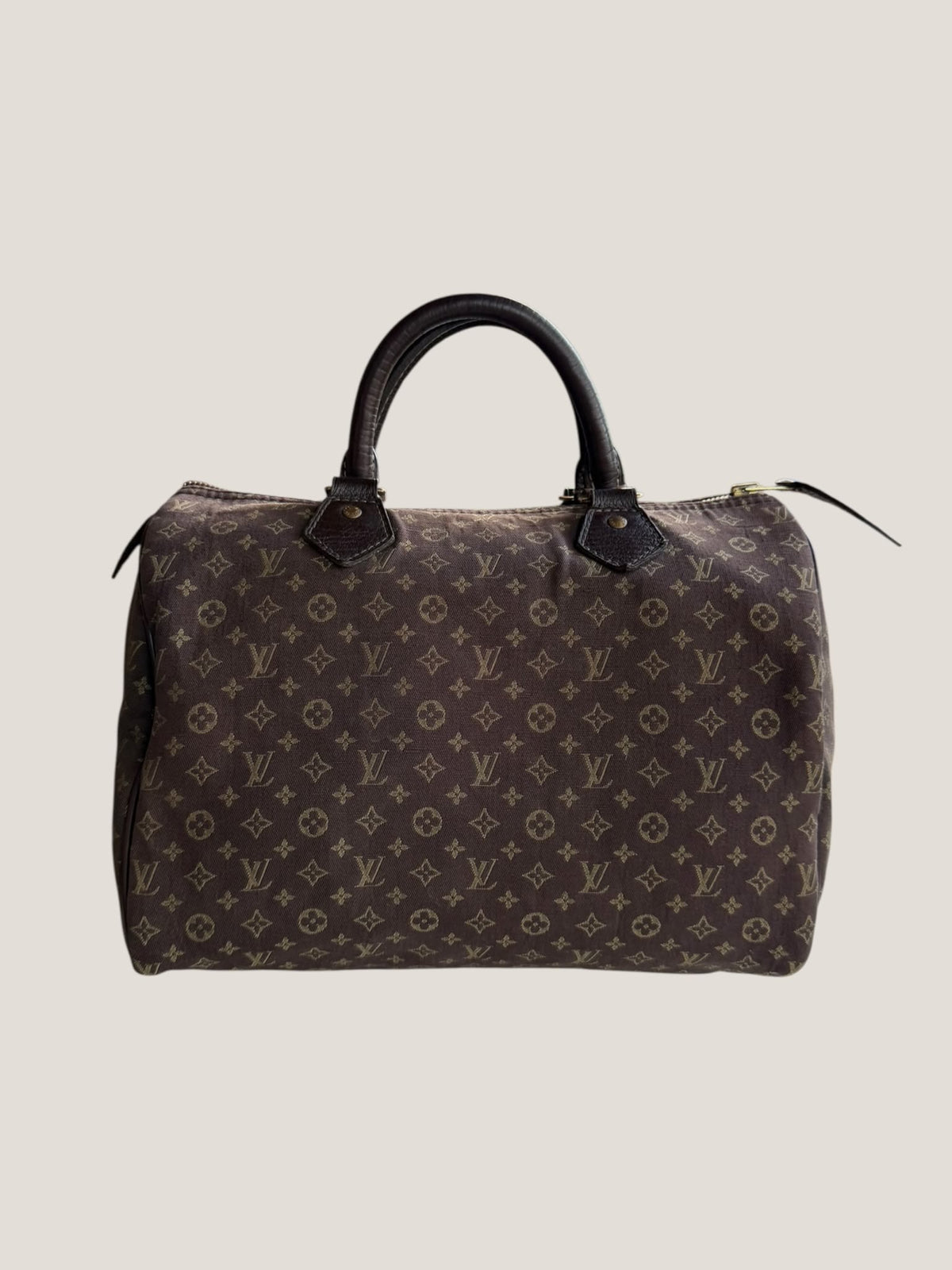 Louis Vuitton Speedy 30 Mini Lin