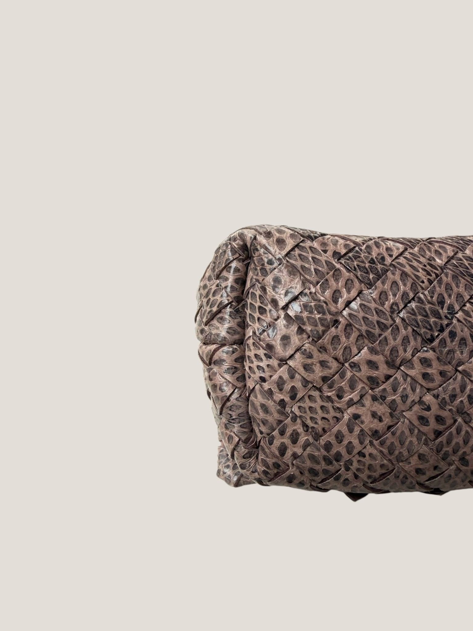 Bottega Veneta Intrecciato Serpente