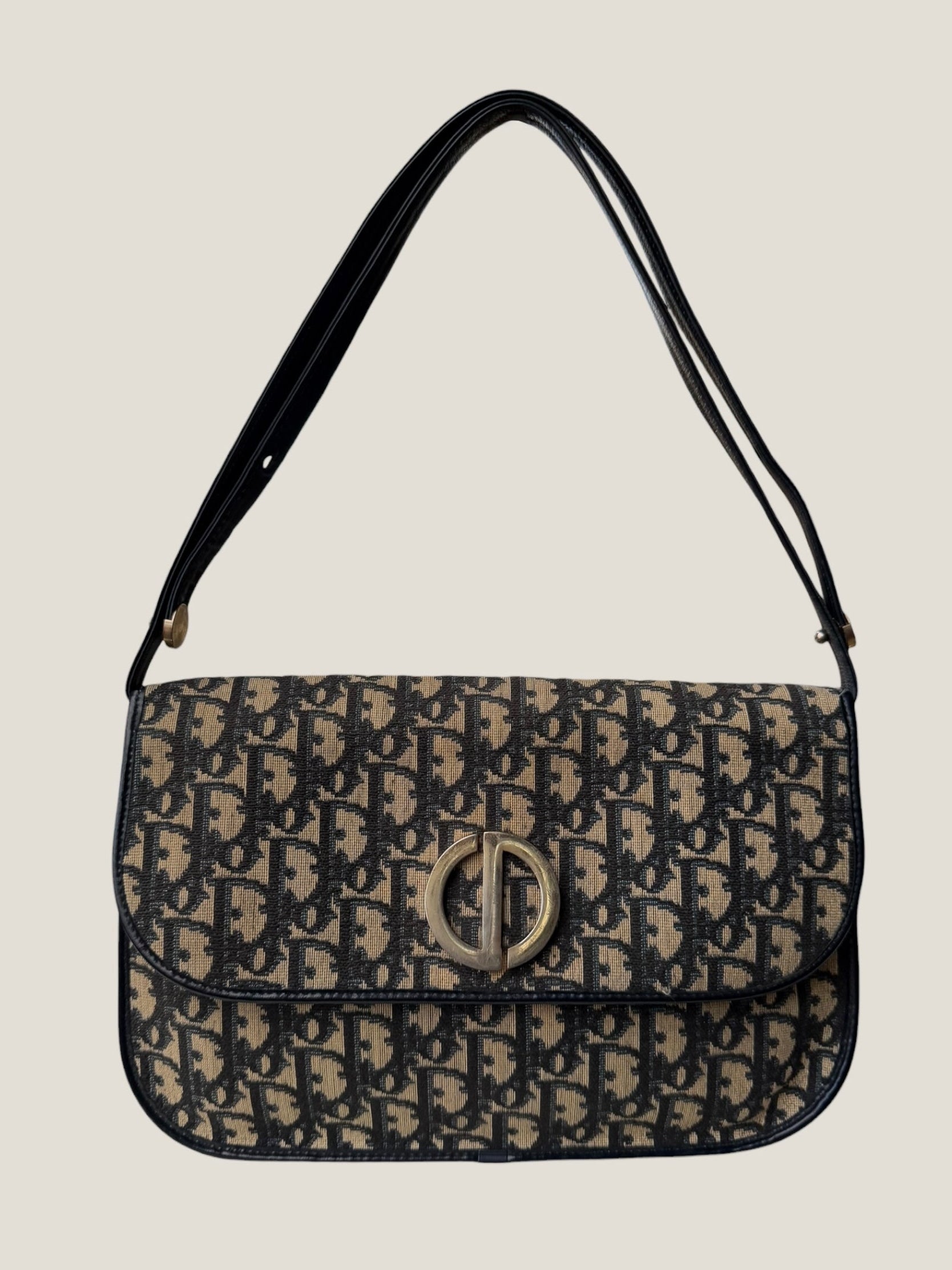 Christian Dior Trotter bag