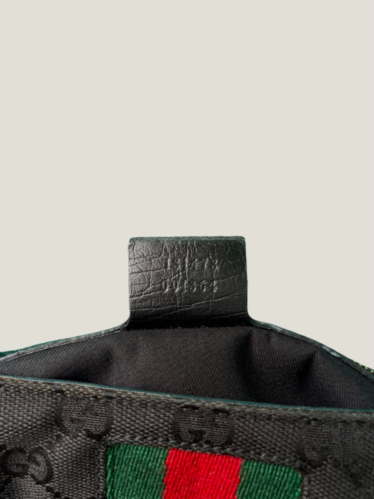 Gucci Horsebit Web
