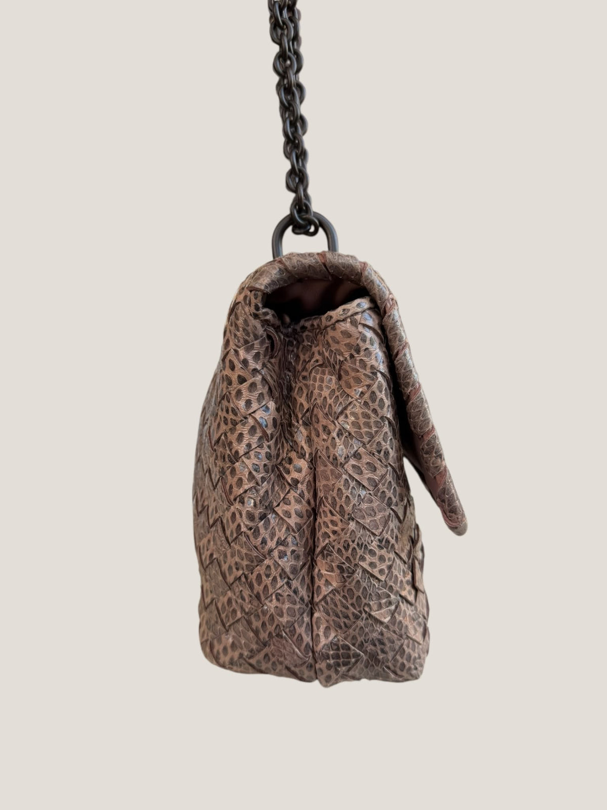 Bottega Veneta Intrecciato Serpente