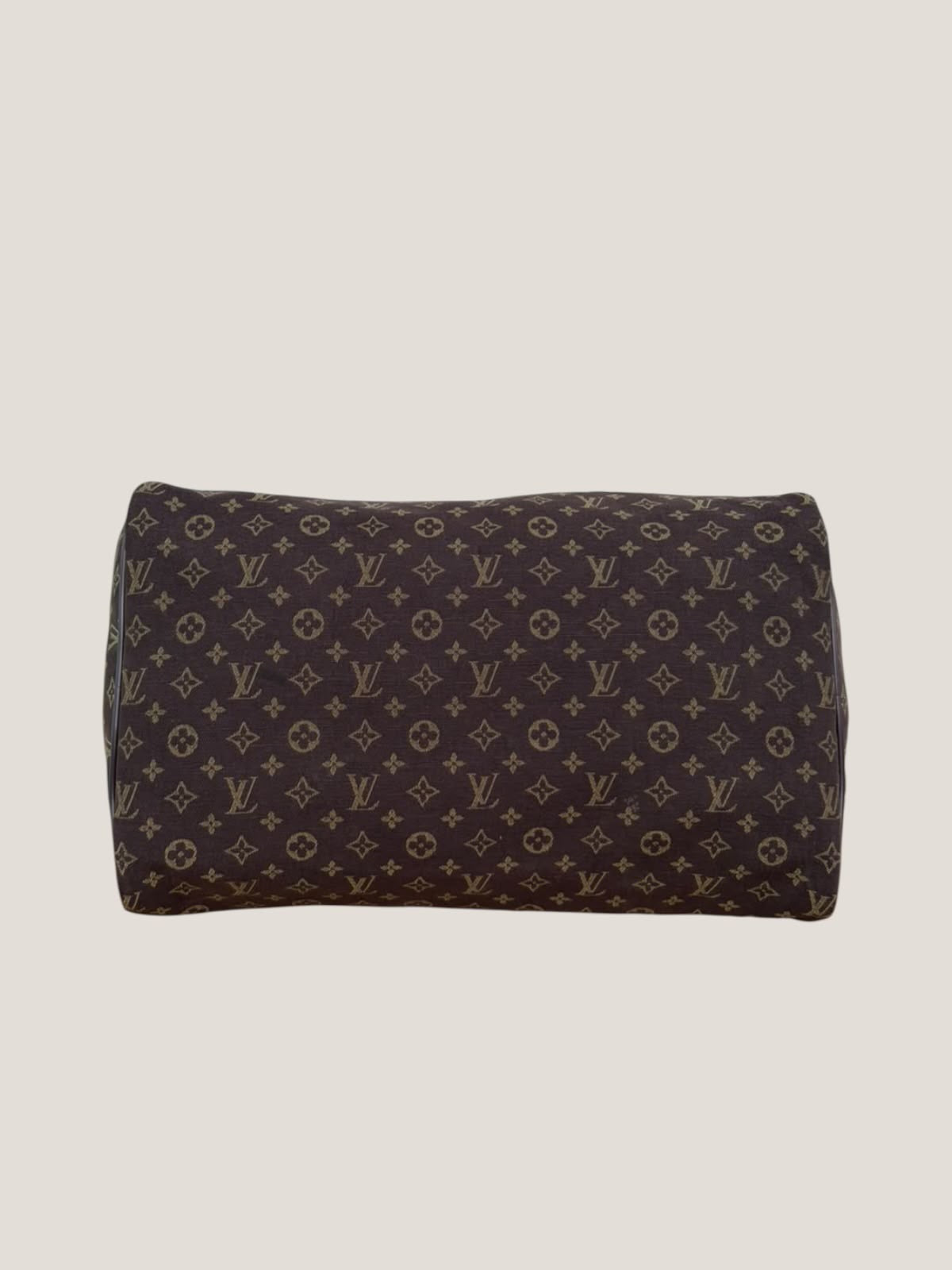 Louis Vuitton Speedy 30 Mini Lin