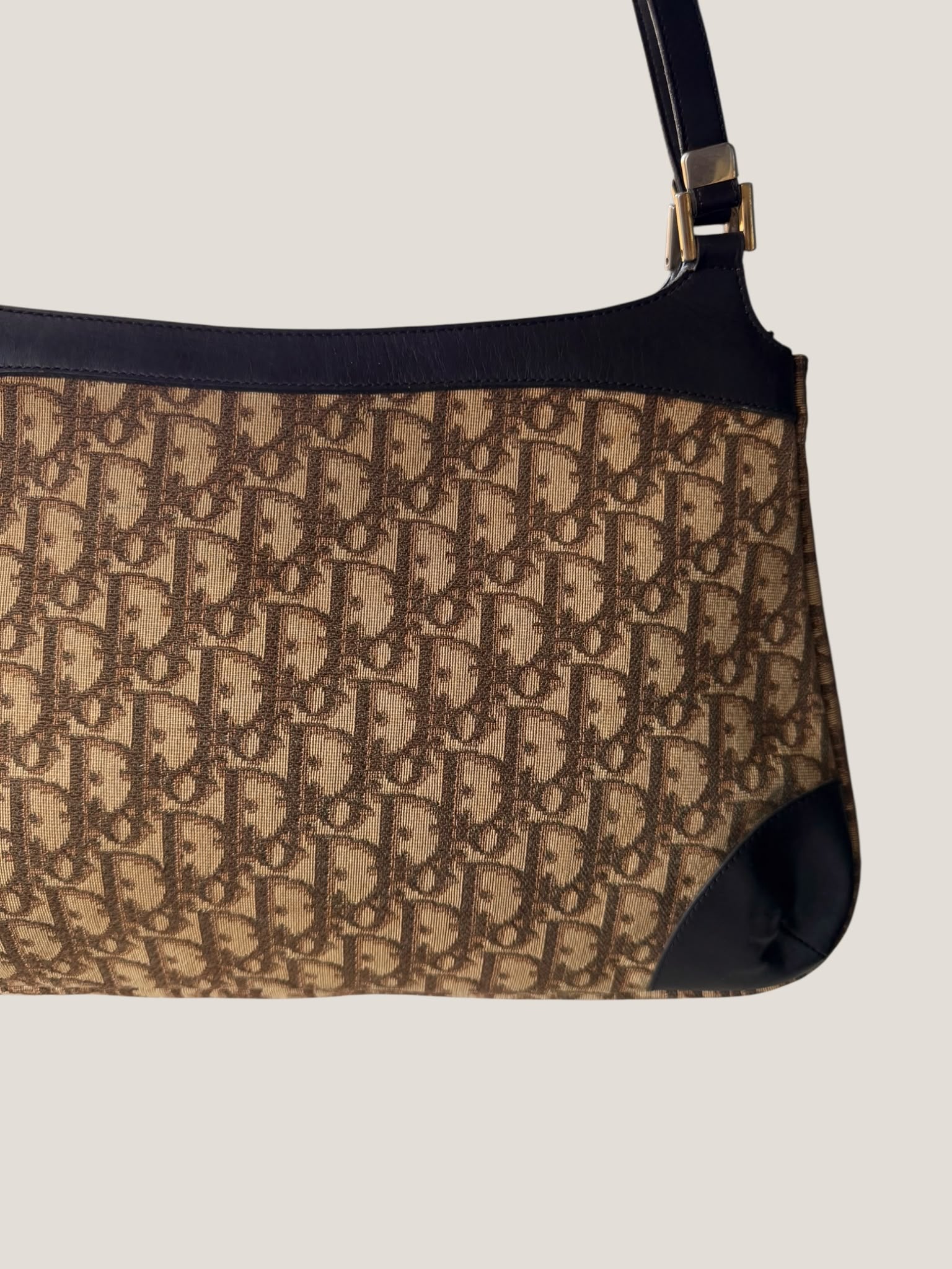 Dior Vintage Oblique Tote