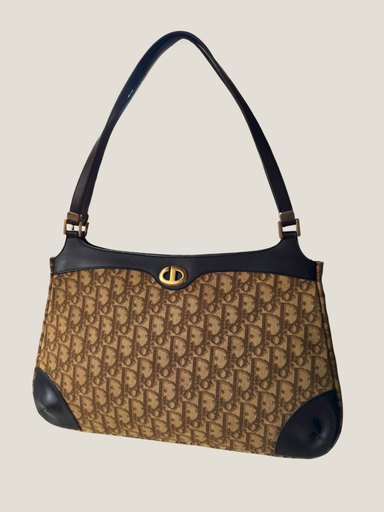 Dior Vintage Oblique Tote
