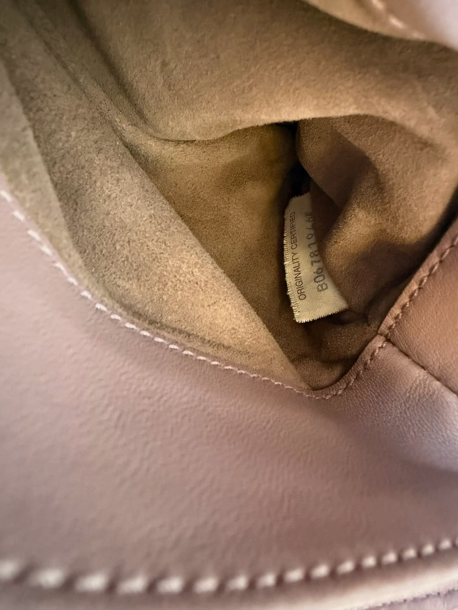 Bottega Veneta Intrecciato Serpente