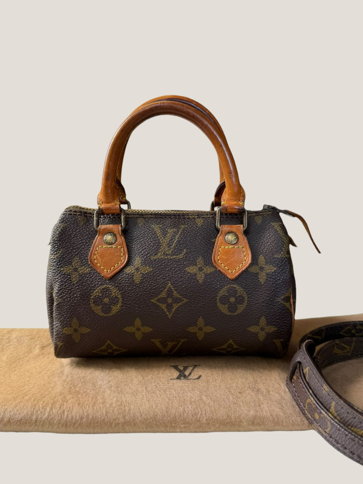 Louis Vuitton Mini Speedy