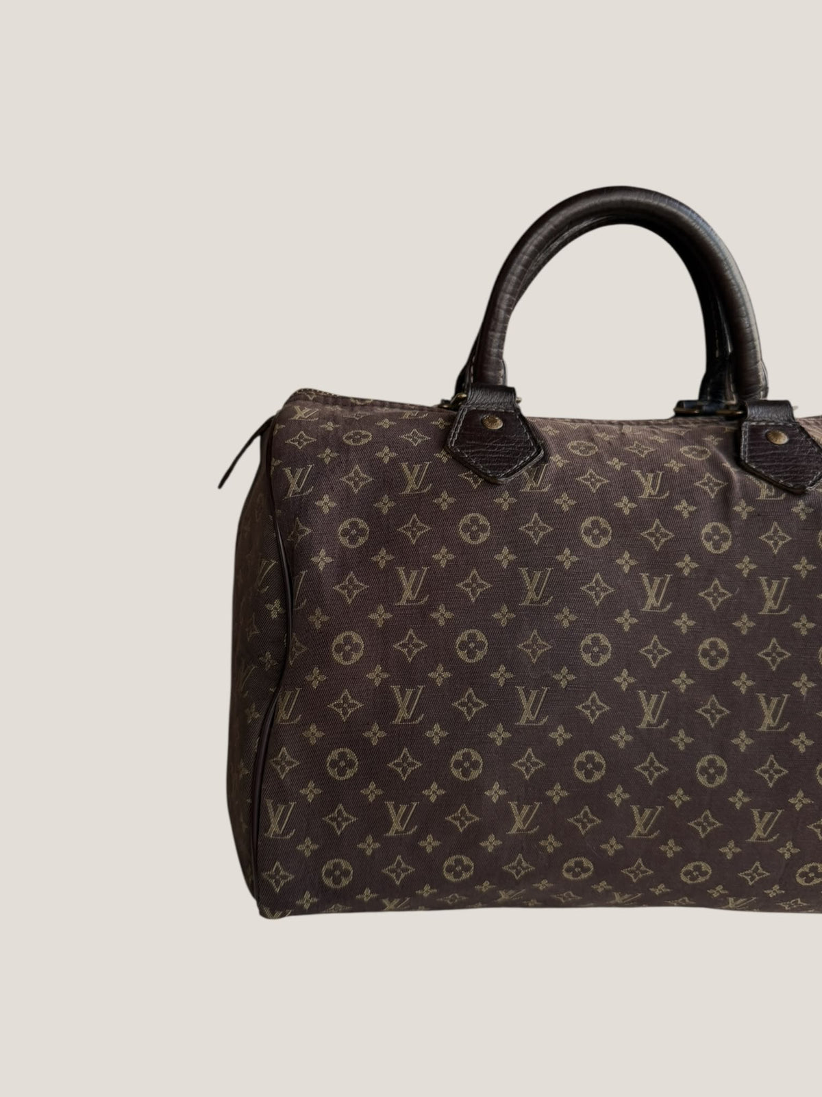 Louis Vuitton Speedy 30 Mini Lin