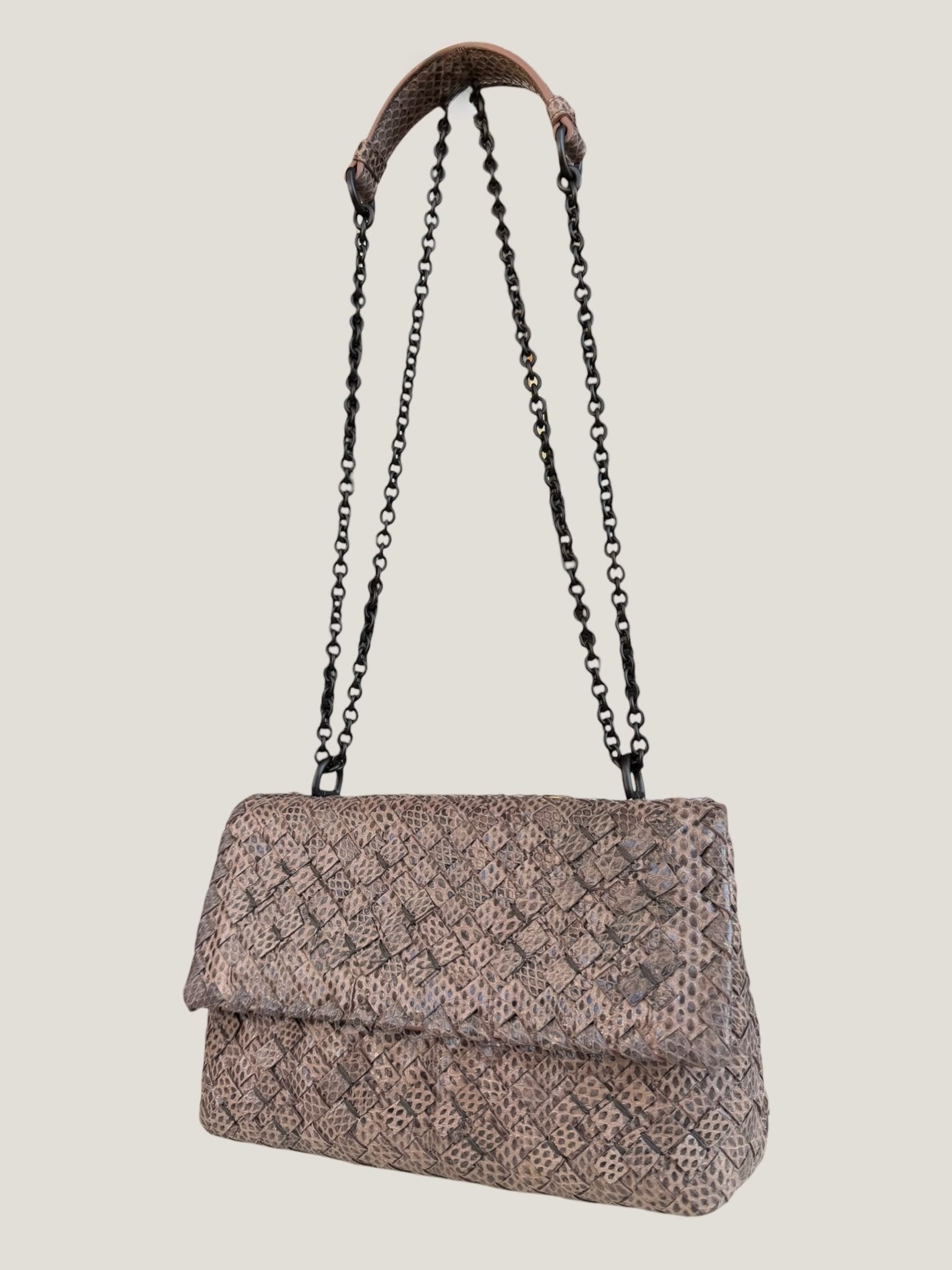 Bottega Veneta Intrecciato Serpente