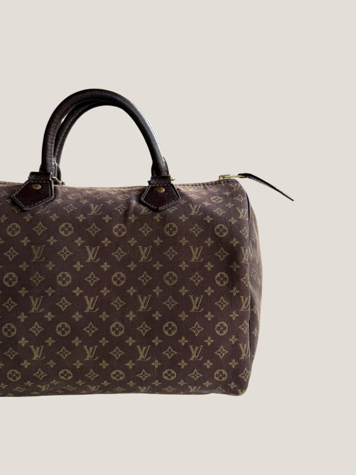 Louis Vuitton Speedy 30 Mini Lin