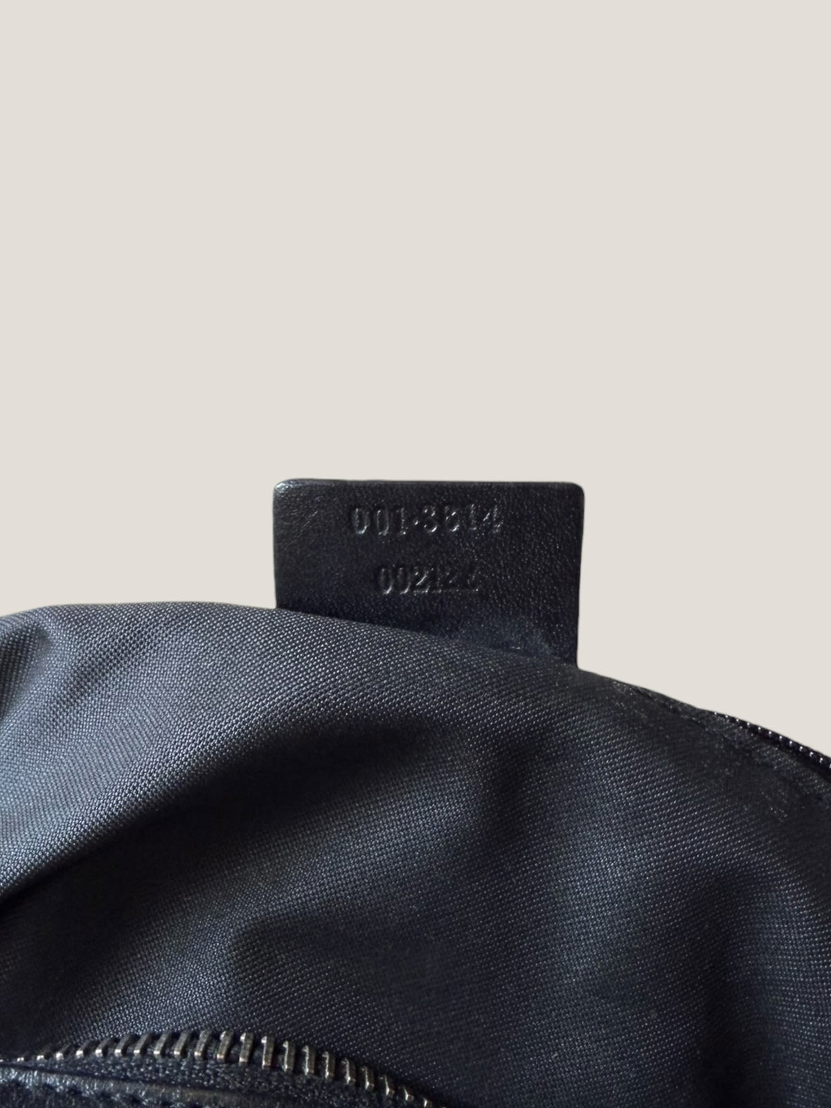 Gucci Hobo GG Canvas