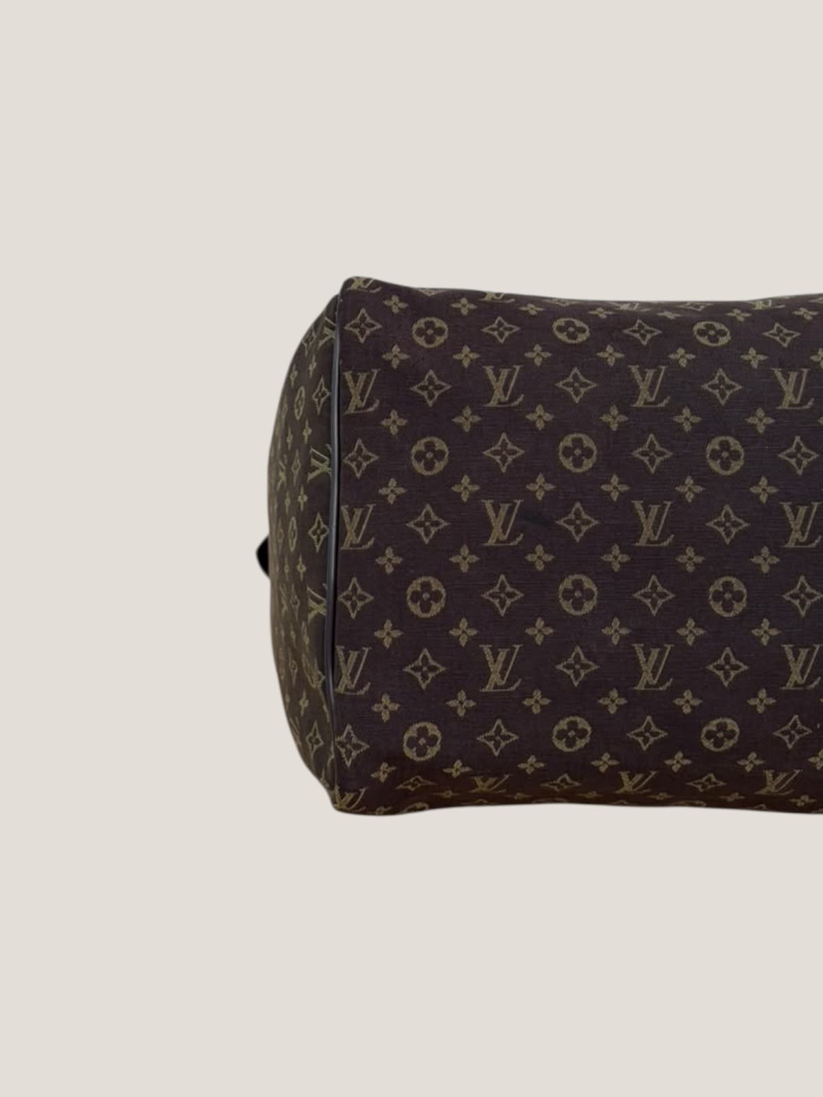 Louis Vuitton Speedy 30 Mini Lin