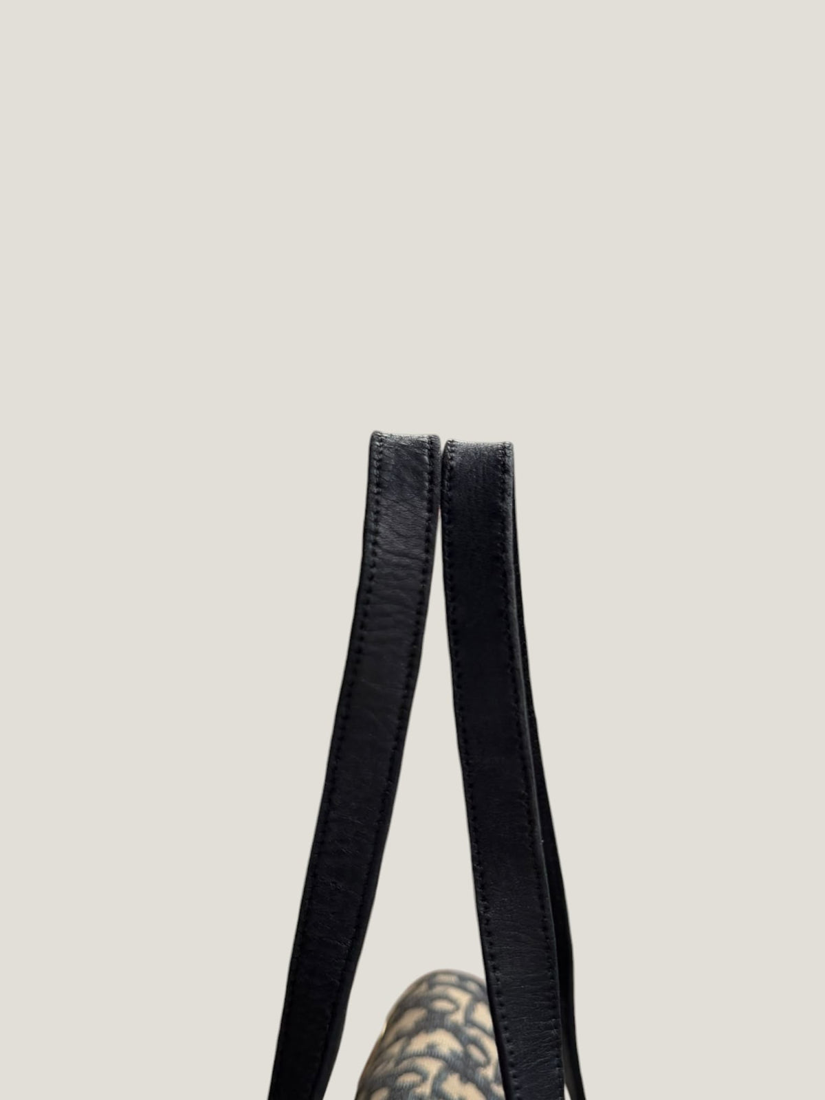 Christian Dior Flap Bag