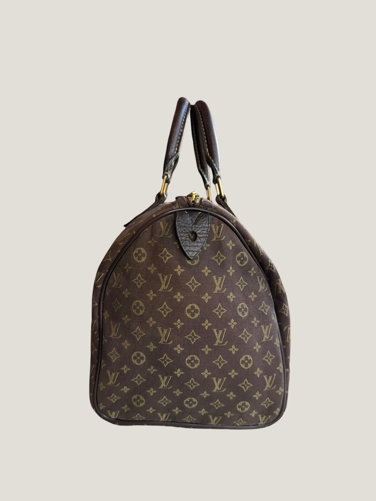 Louis Vuitton Speedy 30 Mini Lin