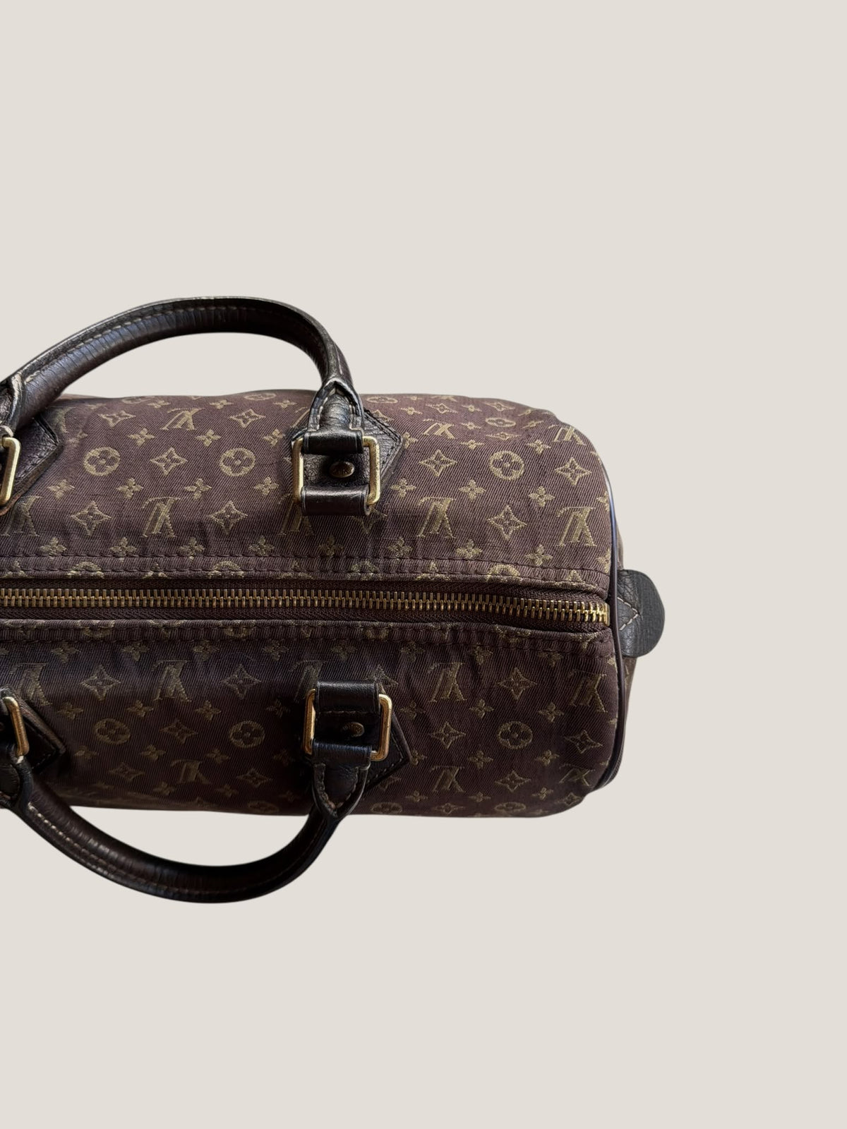Louis Vuitton Speedy 30 Mini Lin