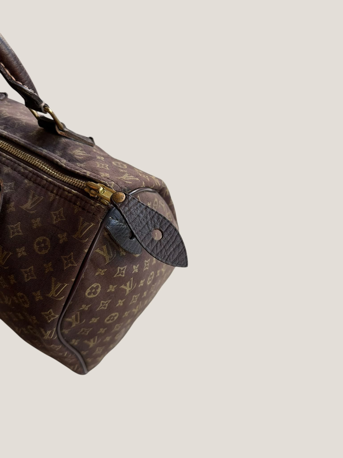 Louis Vuitton Speedy 30 Mini Lin
