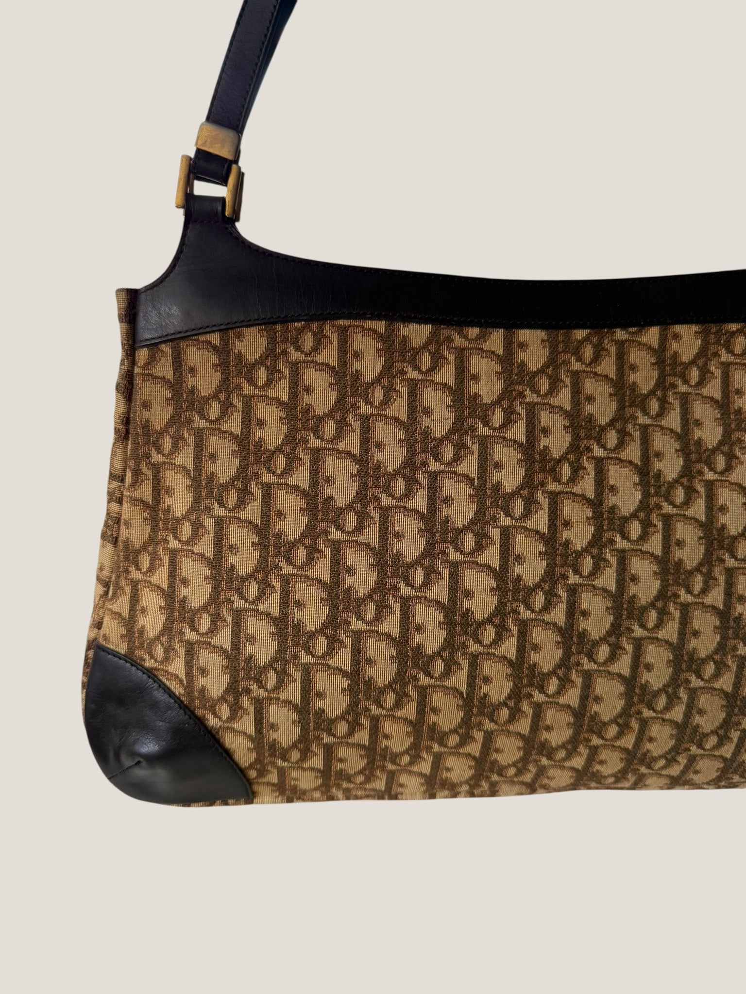 Dior Vintage Oblique Tote