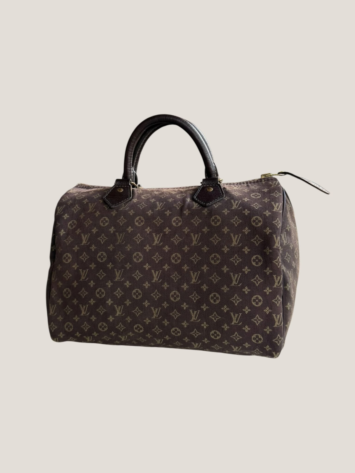 Louis Vuitton Speedy 30 Mini Lin