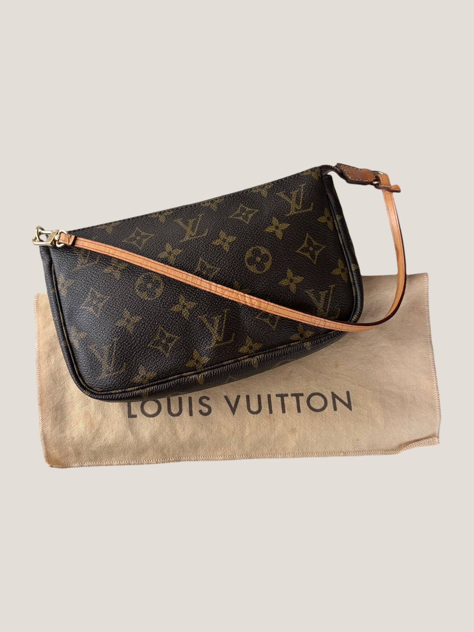 Louis Vuitton Pochette Accessoires