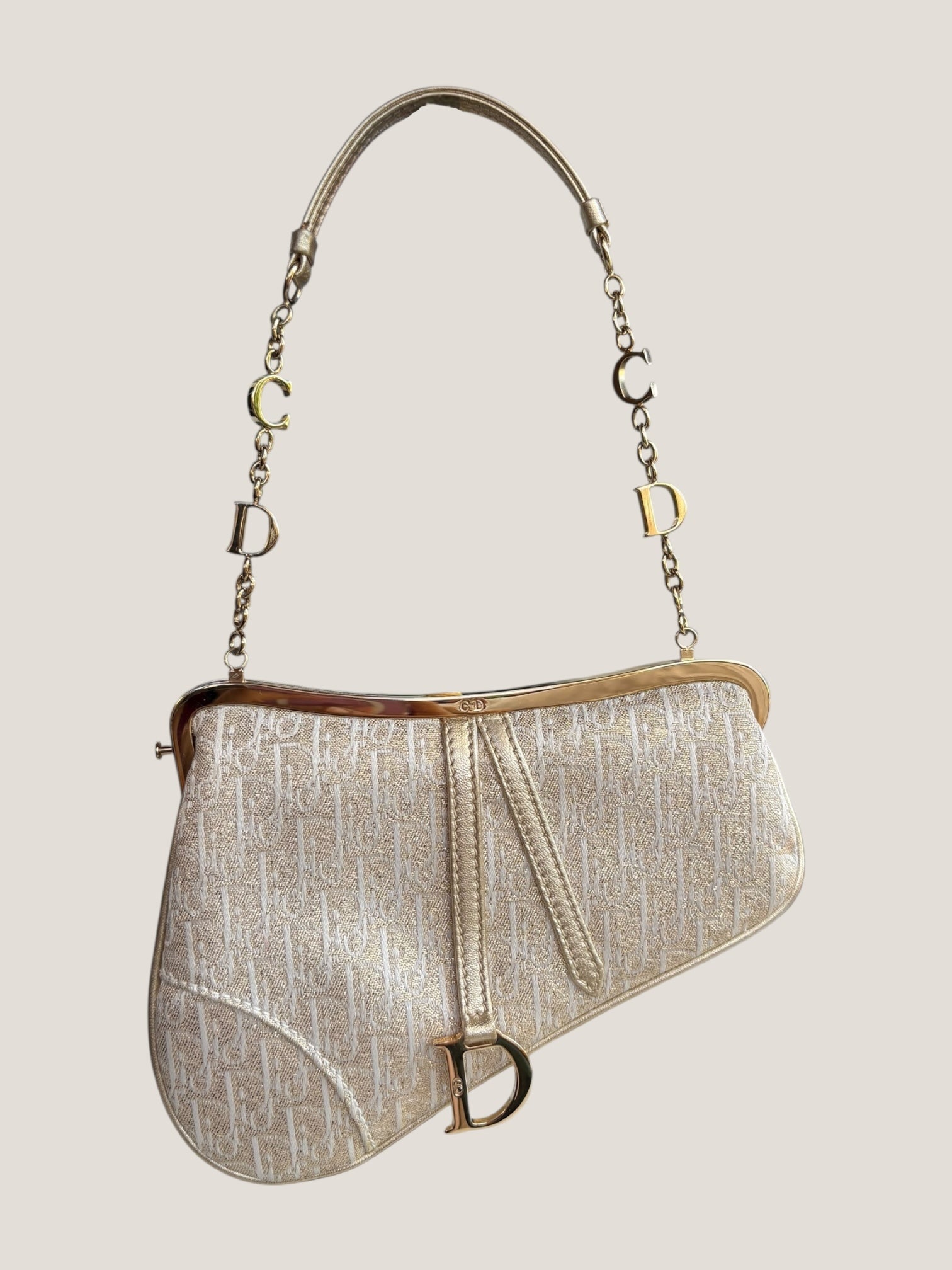 Christian Dior Mini Saddle