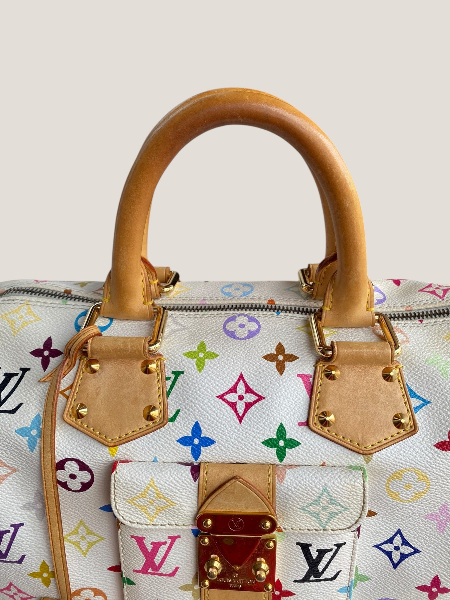 Louis Vuitton Speedy 30 Multicolor