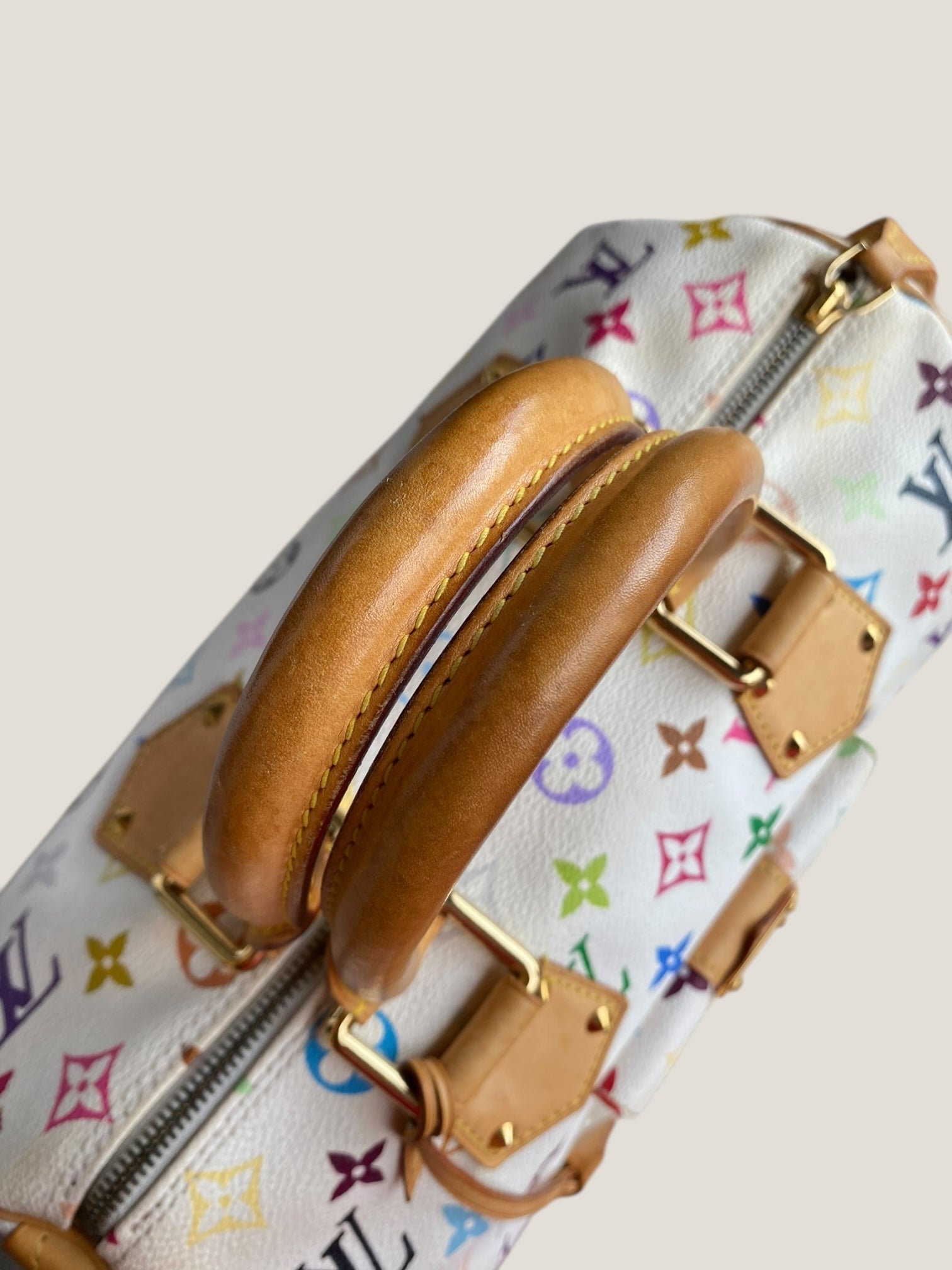 Louis Vuitton Speedy 30 Multicolor