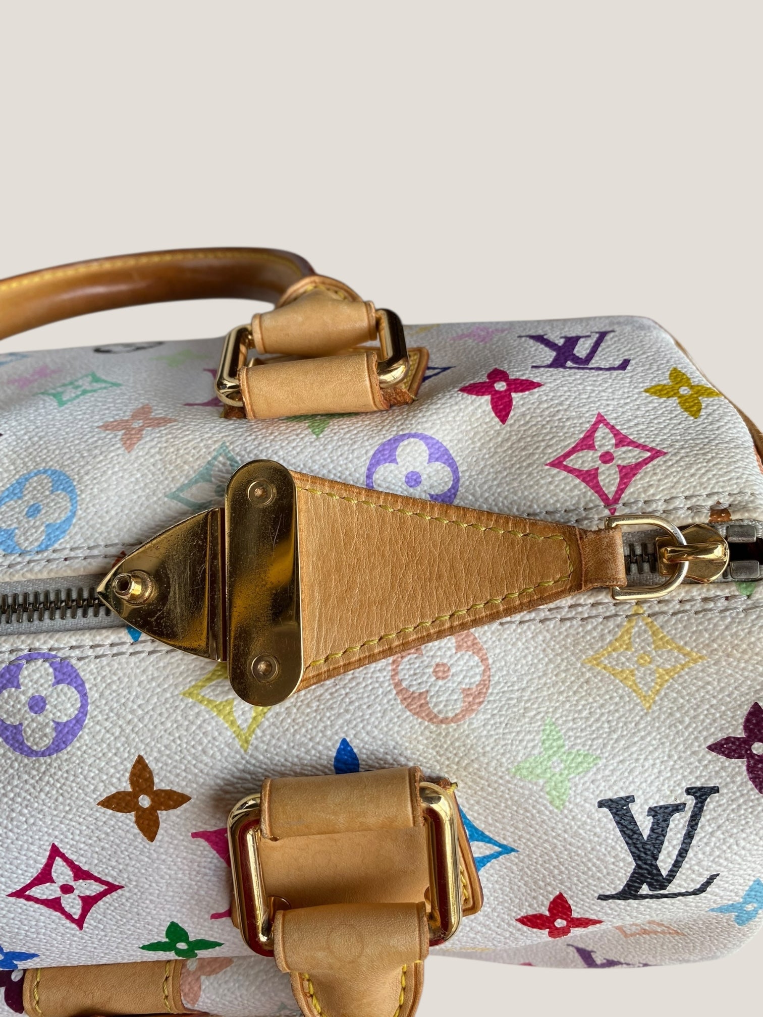 Louis Vuitton Speedy 30 Multicolor