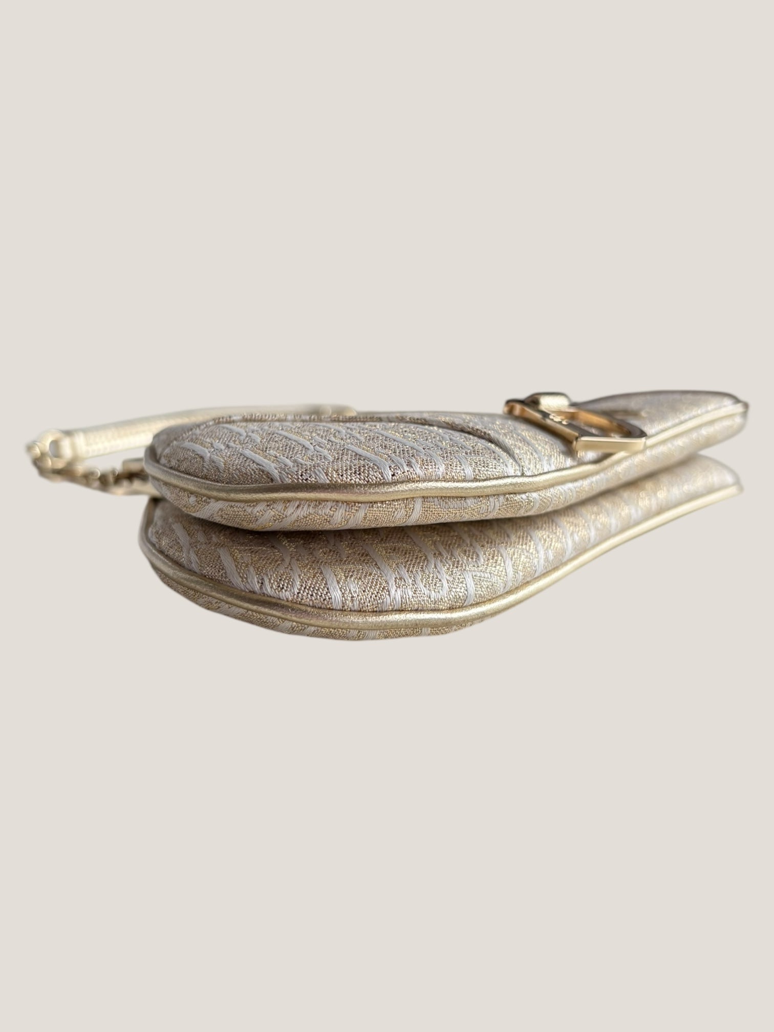 Christian Dior Mini Saddle