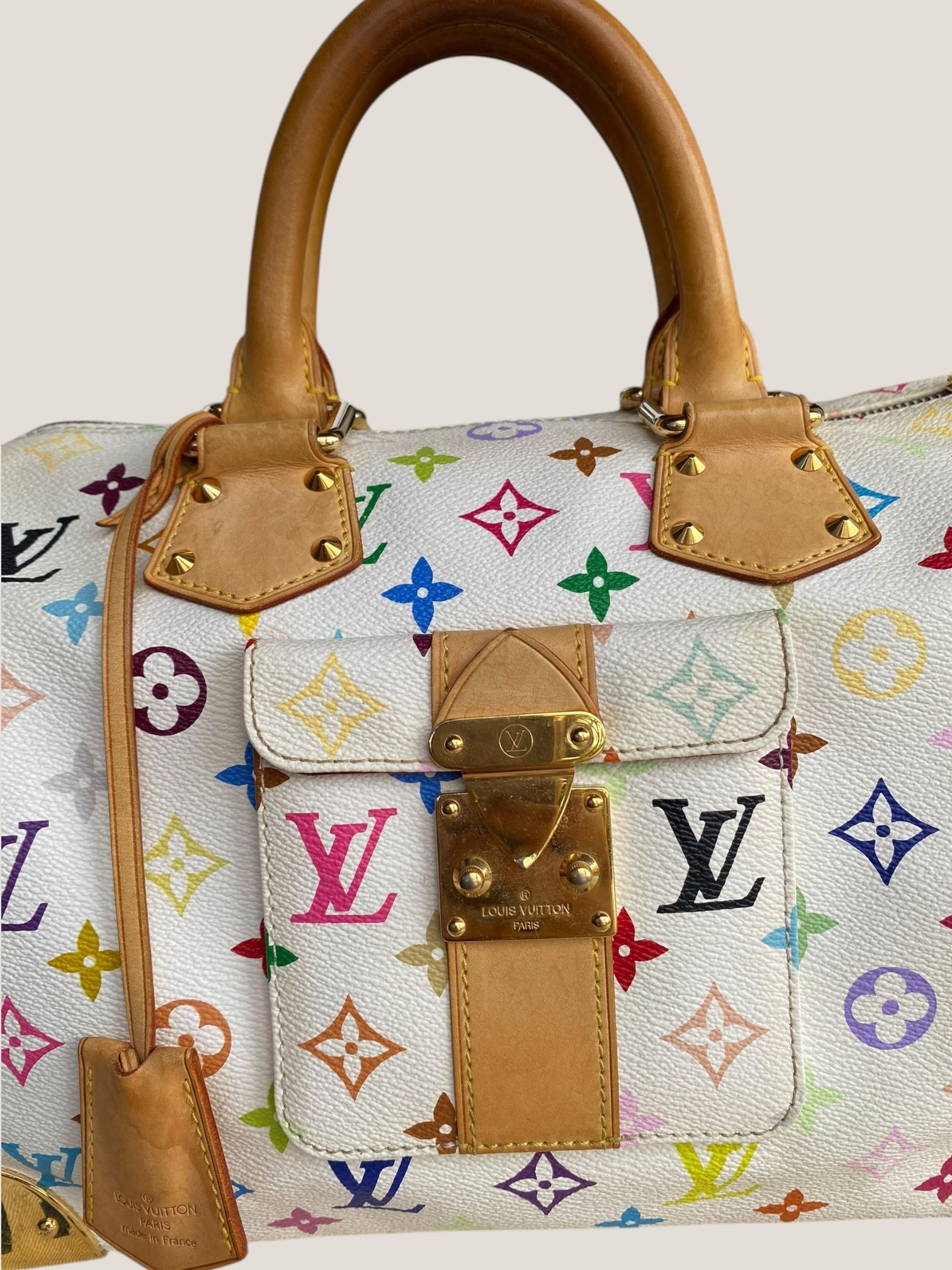 Louis Vuitton Speedy 30 Multicolor