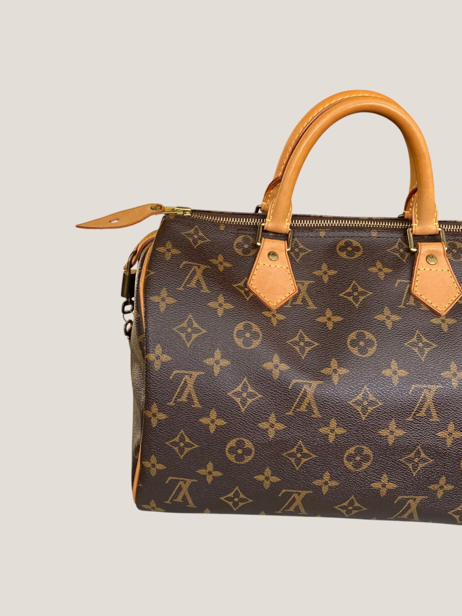 Louis Vuitton Speedy 30 in tela Monogram