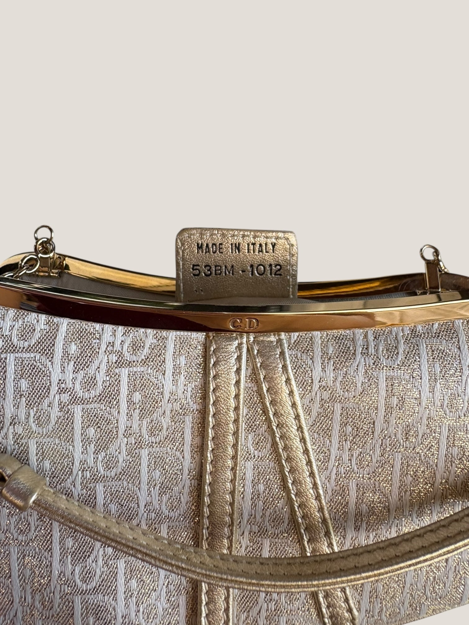 Christian Dior Mini Saddle