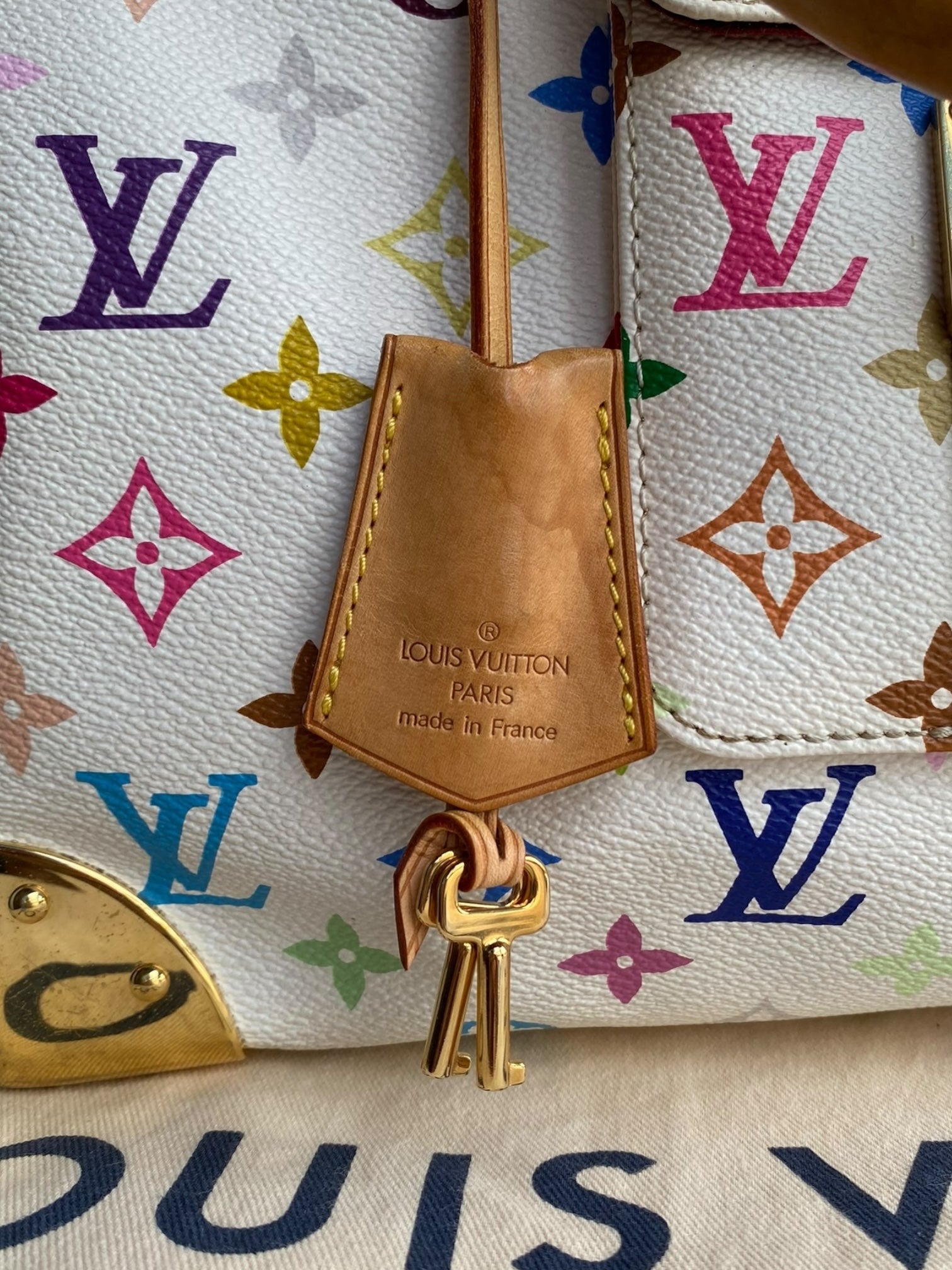 Louis Vuitton Speedy 30 Multicolor