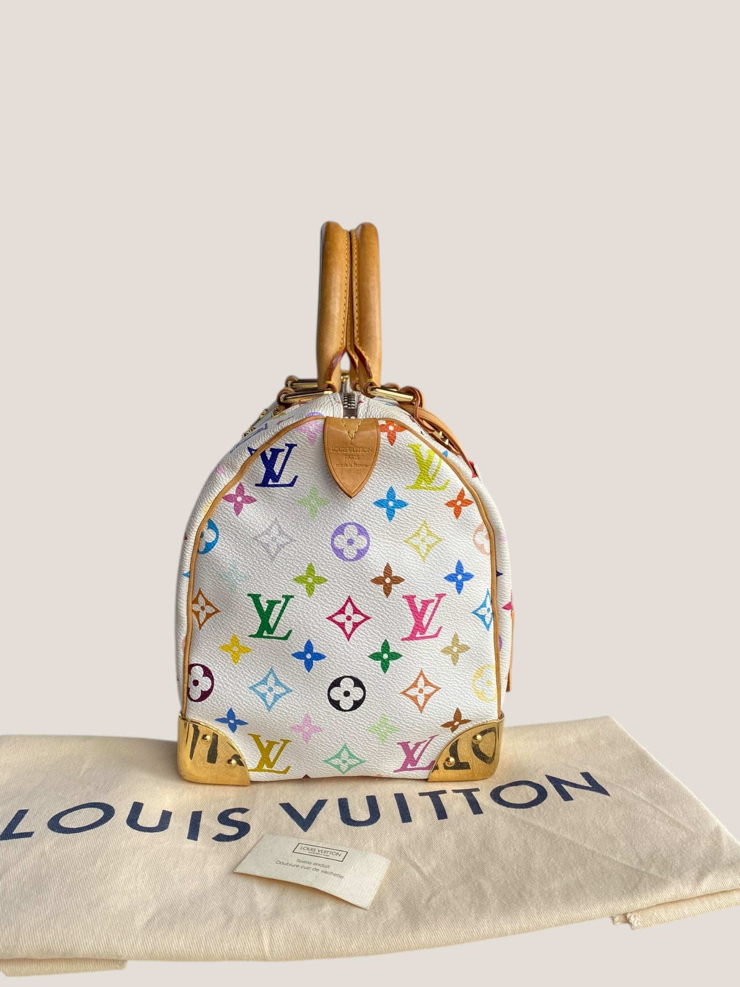 Louis Vuitton Speedy 30 Multicolor