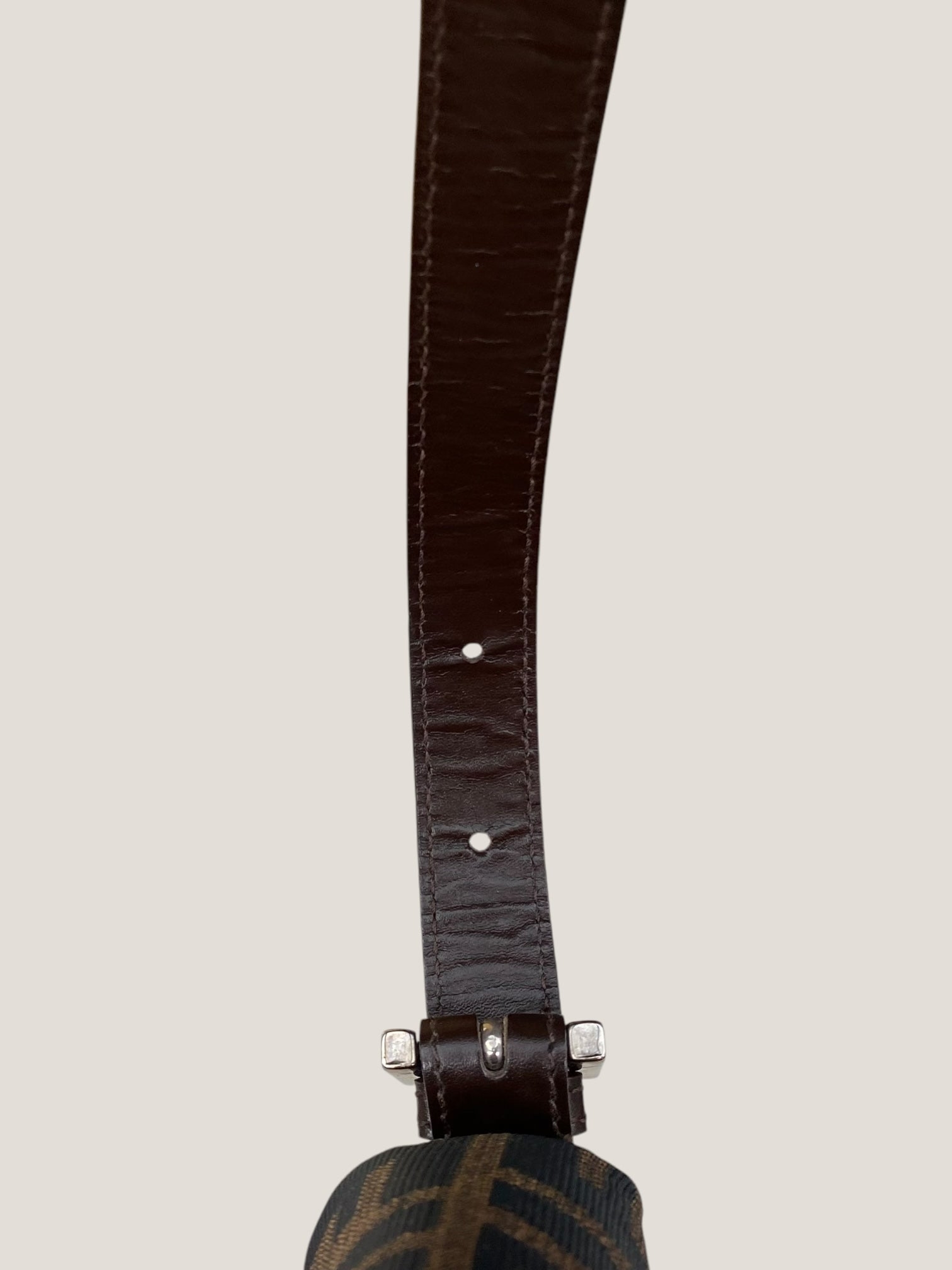 fendi baguette zucca