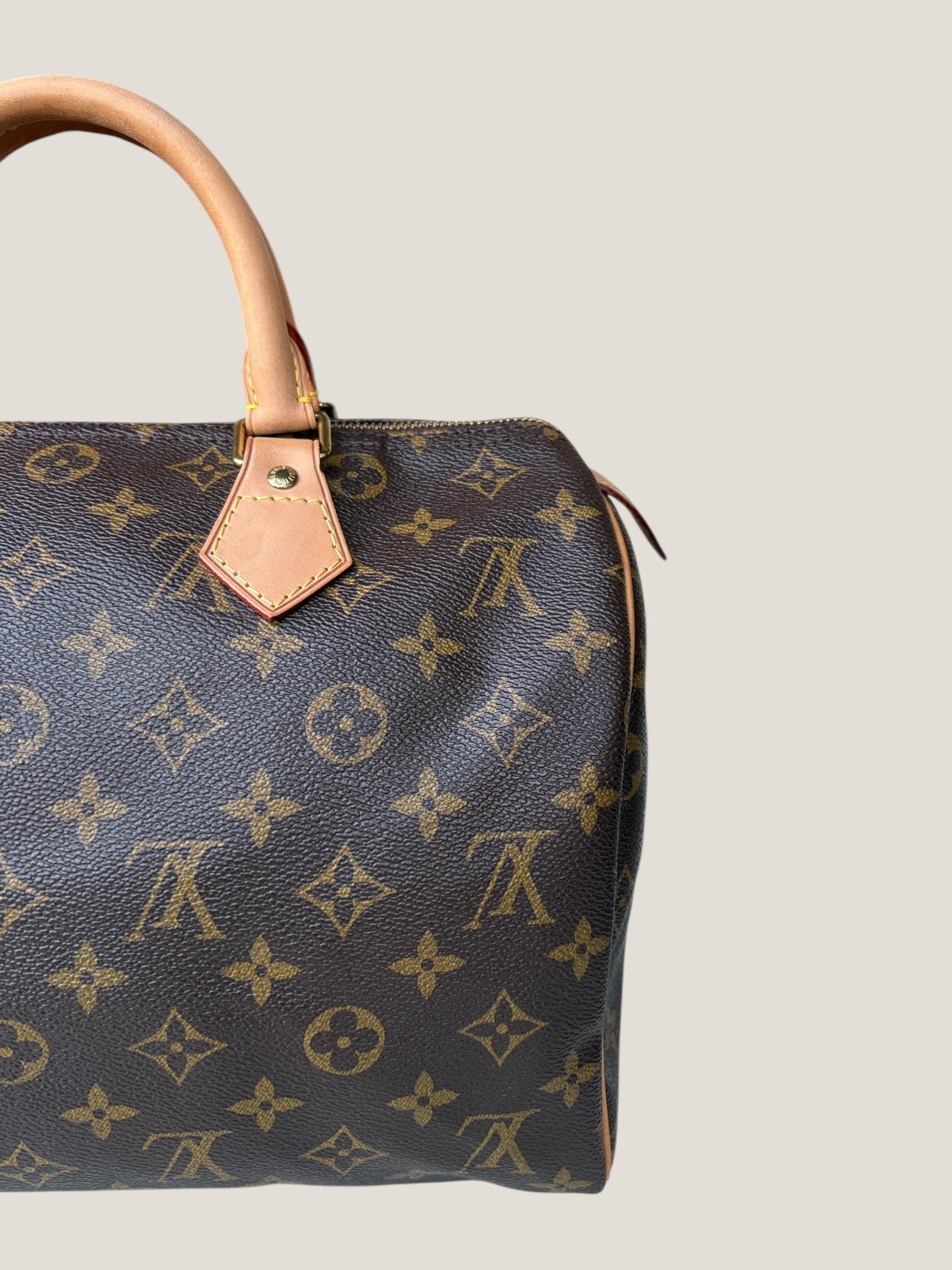 Louis Vuitton Speedy 30 Monogram