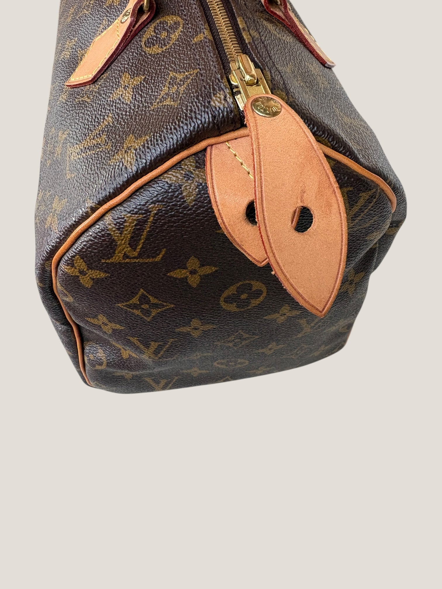 Louis Vuitton Speedy 30 Monogram