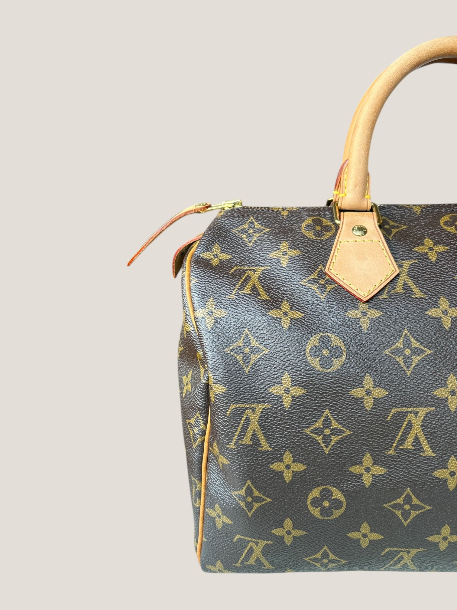 Louis Vuitton Speedy 30 Monogram