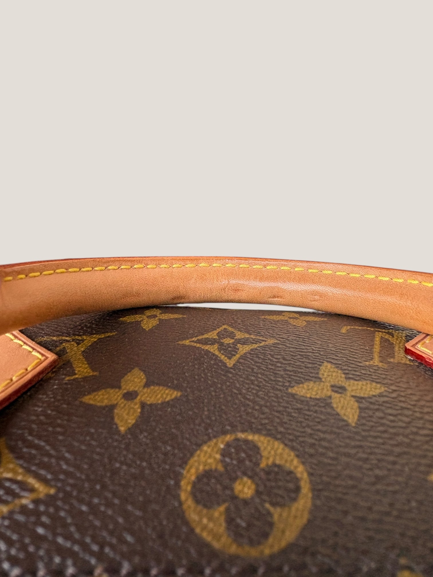 Louis Vuitton Speedy 30 Monogram