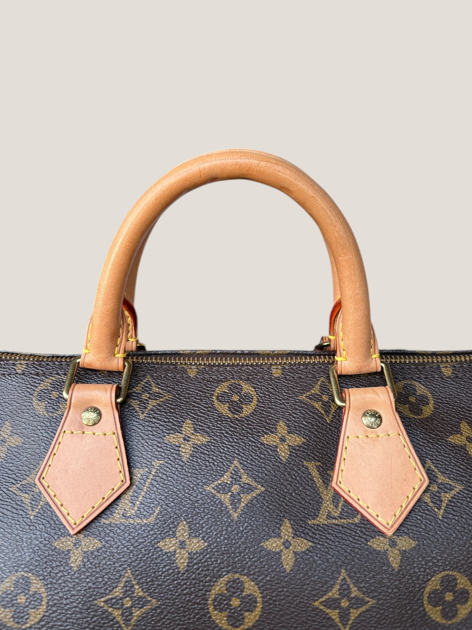 Louis Vuitton Speedy 30 Monogram