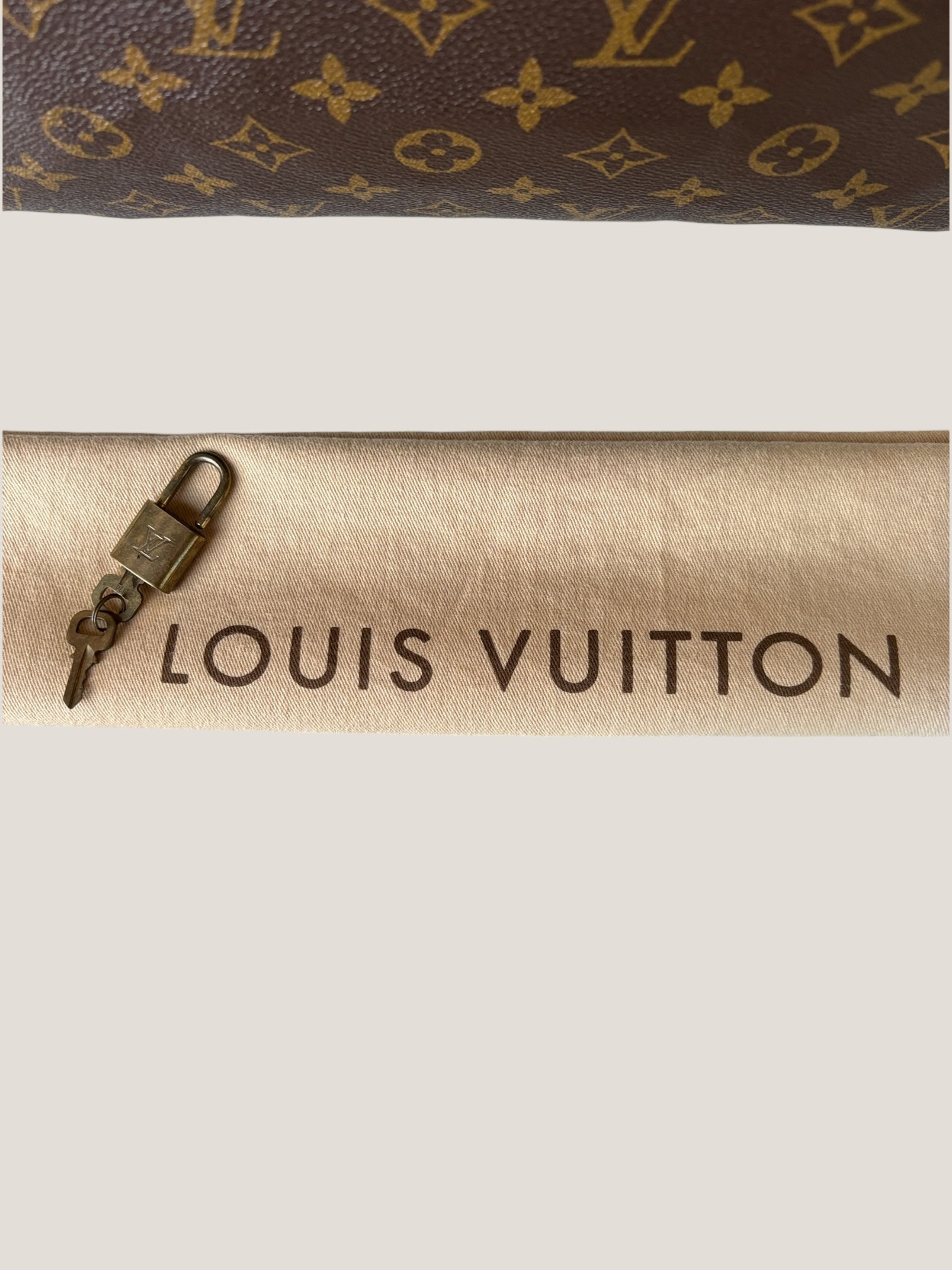 Louis Vuitton Speedy 30 Monogram