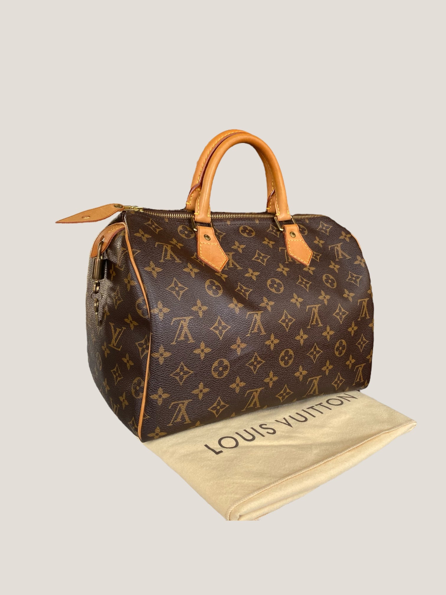 Louis Vuitton Speedy 30 in tela Monogram