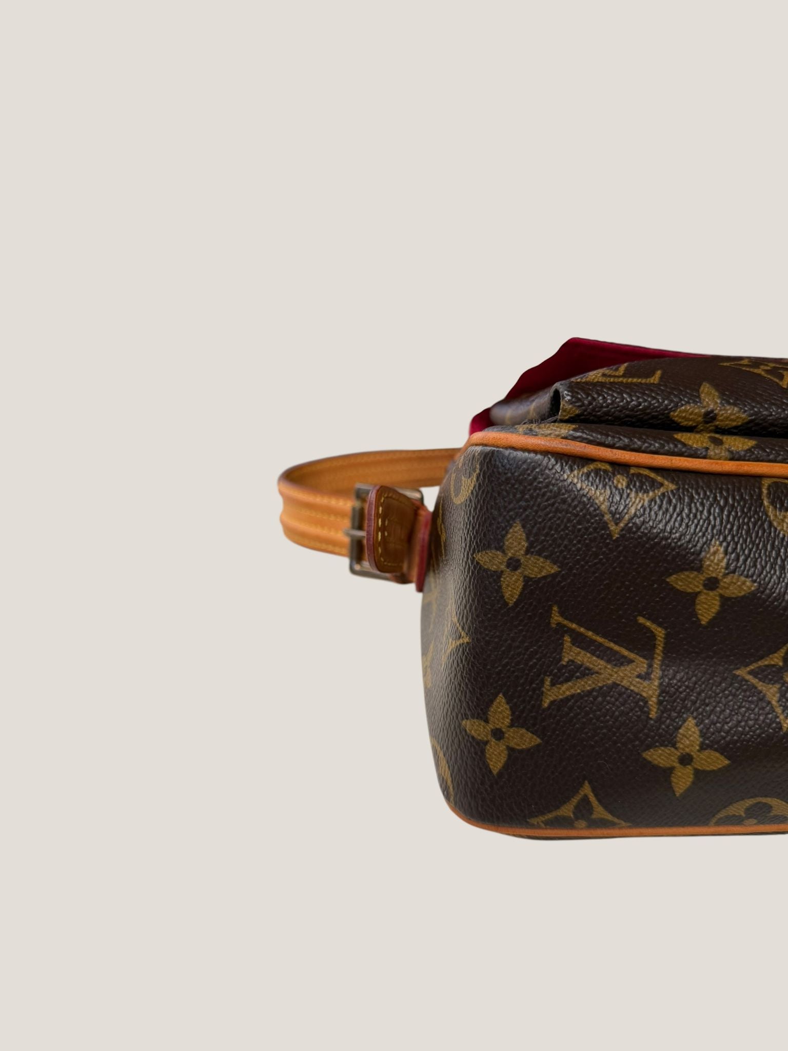 Louis Vuitton Viva Cite PM