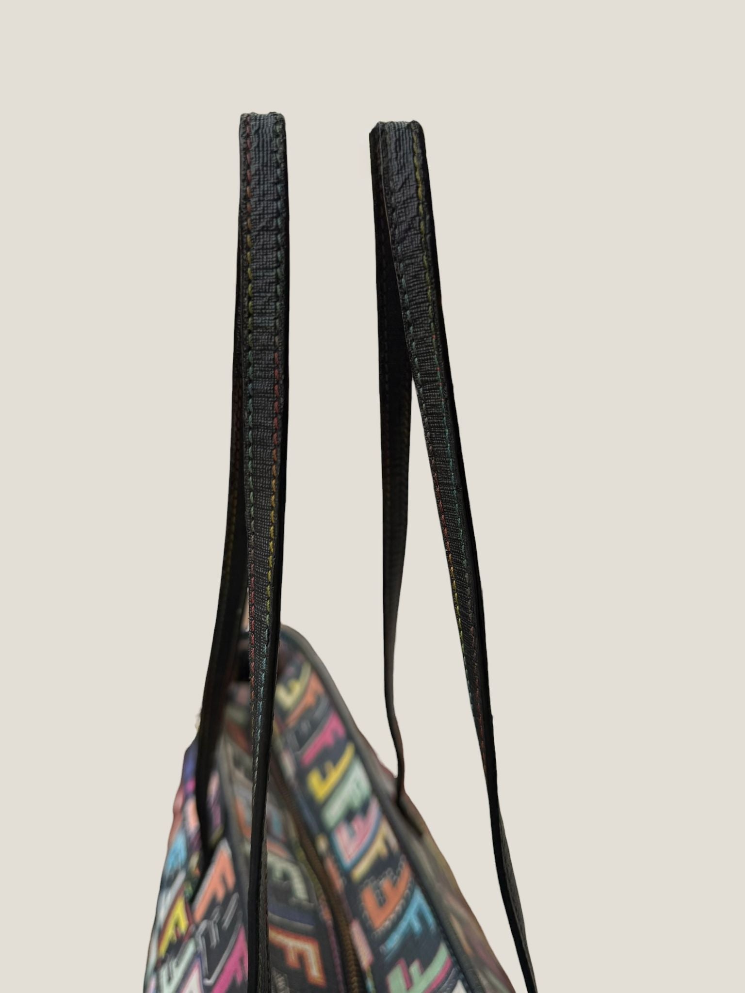 Fendi Tote Multicolor