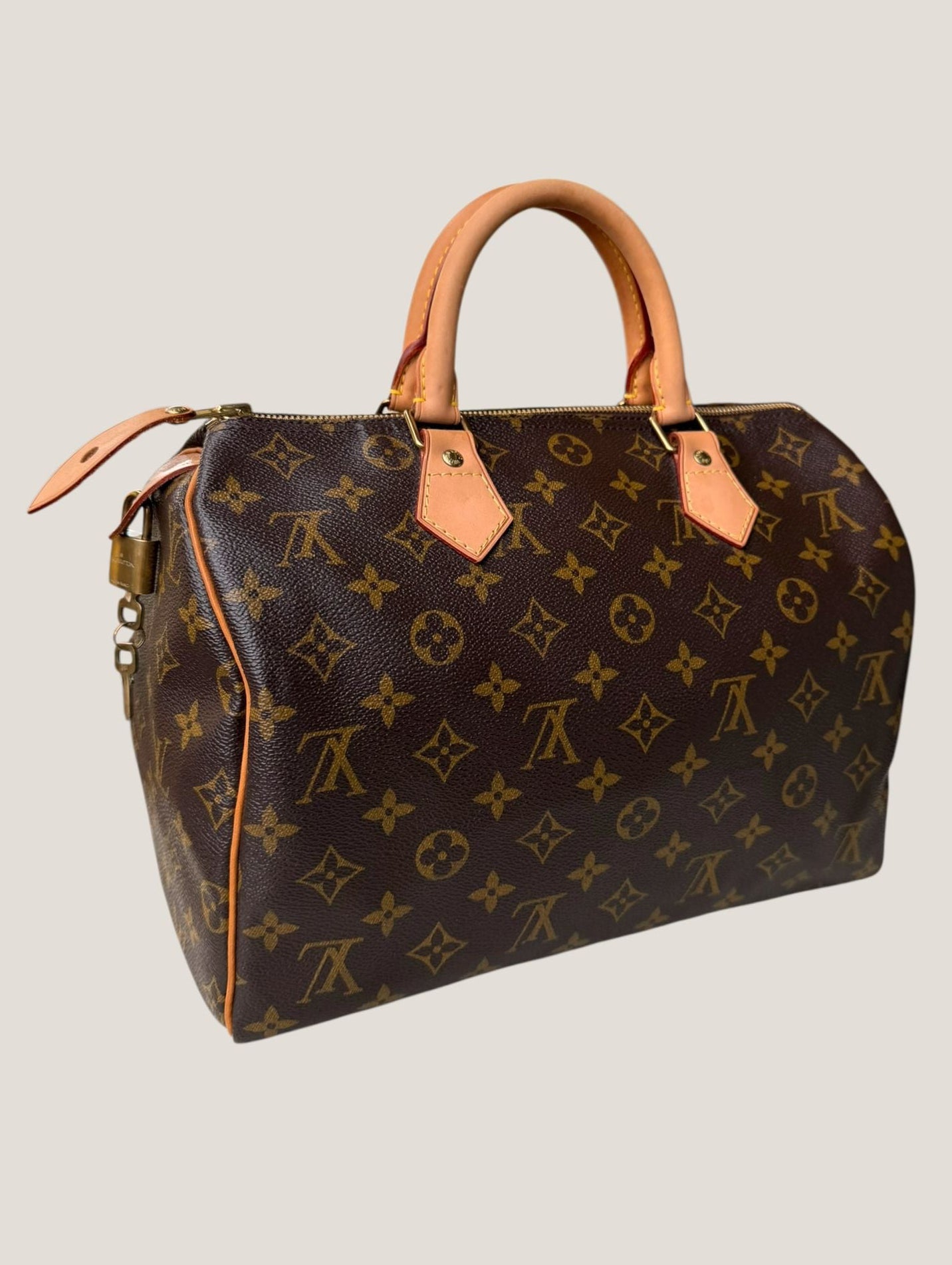 Louis Vuitton Speedy 30 Monogram