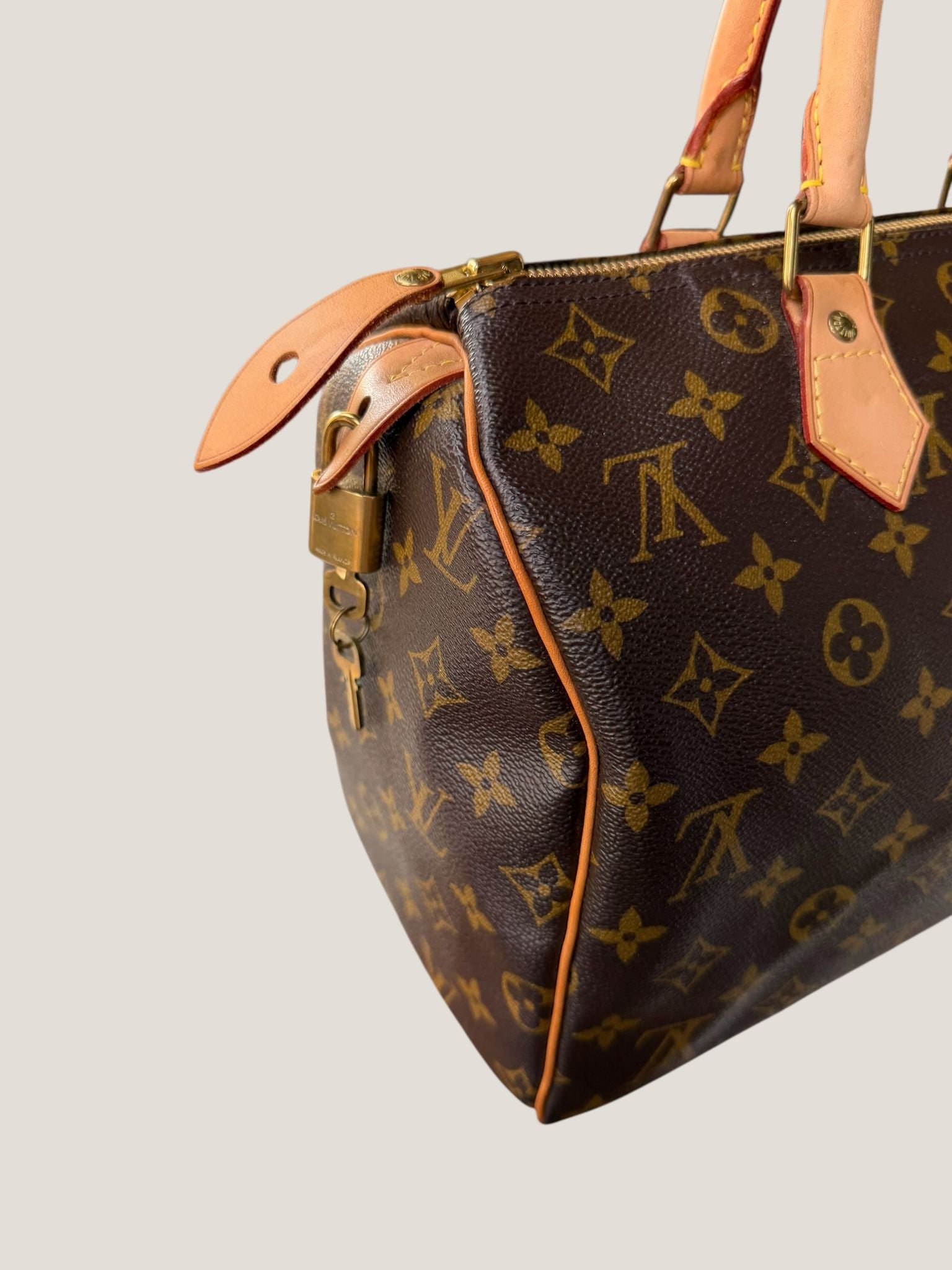 Louis Vuitton Speedy 30 Monogram