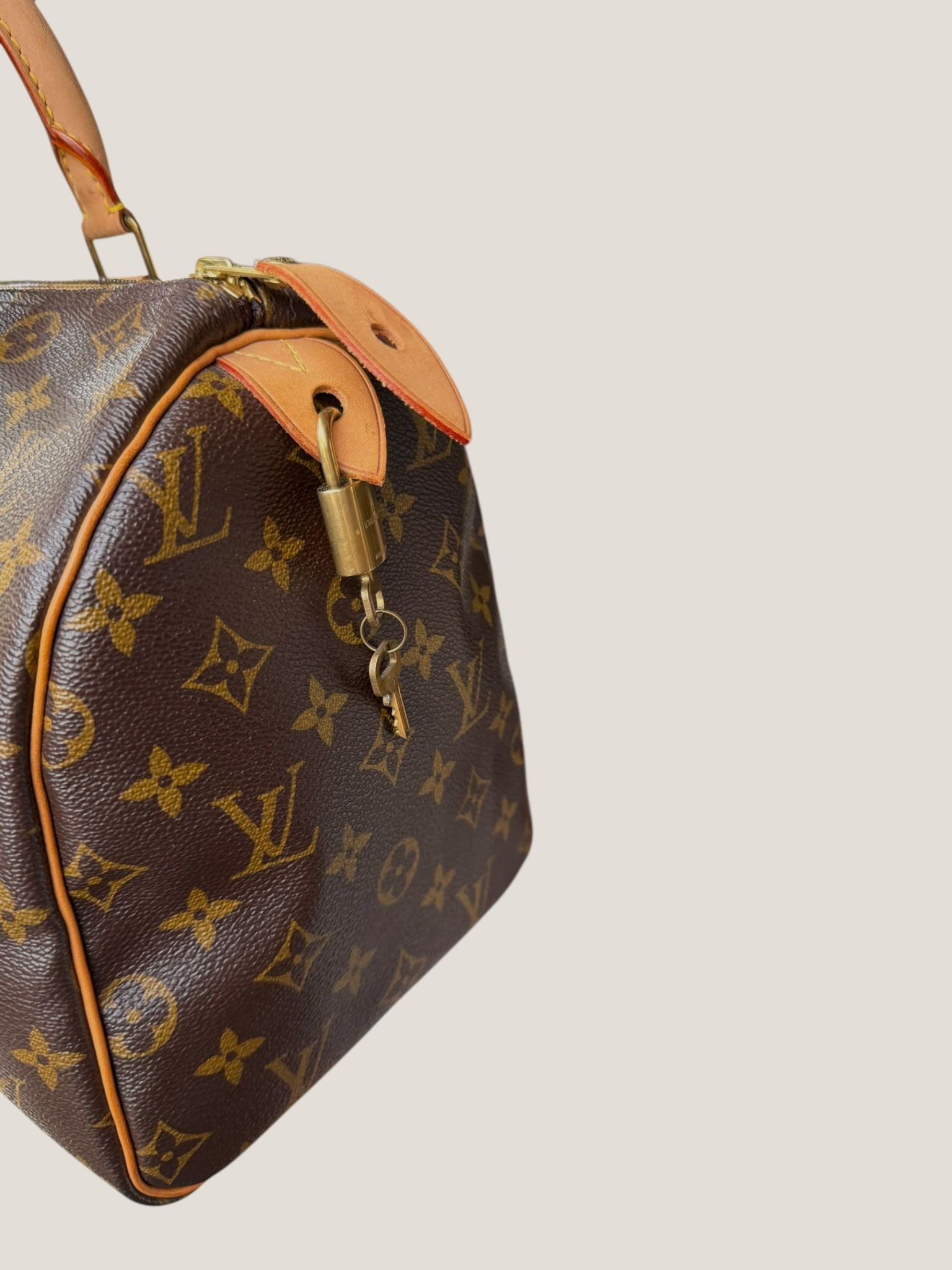 Louis Vuitton Speedy 30 Monogram