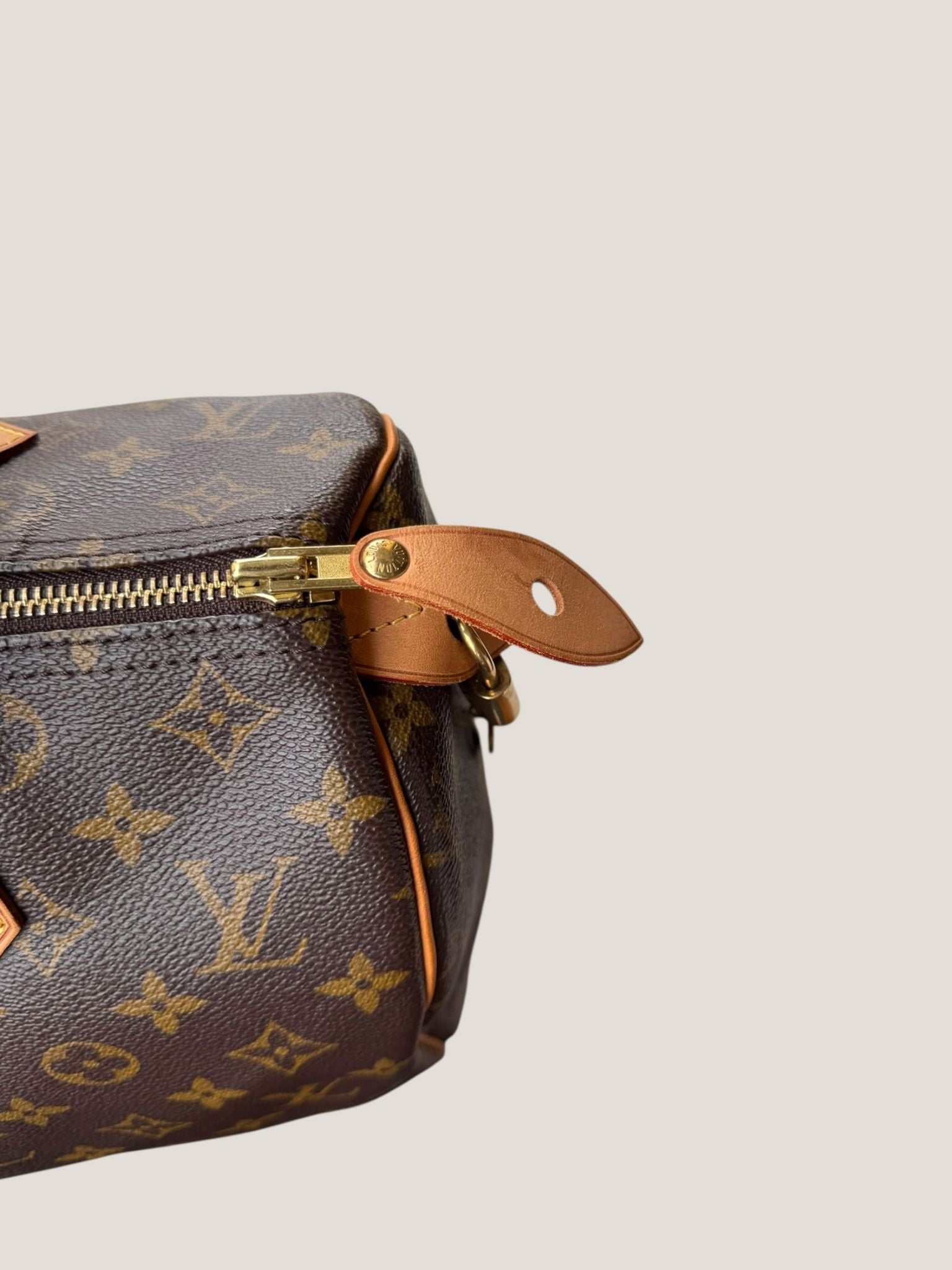 Louis Vuitton Speedy 30 Monogram