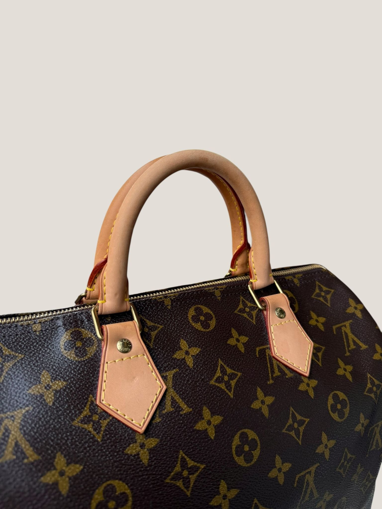 Louis Vuitton Speedy 30 Monogram