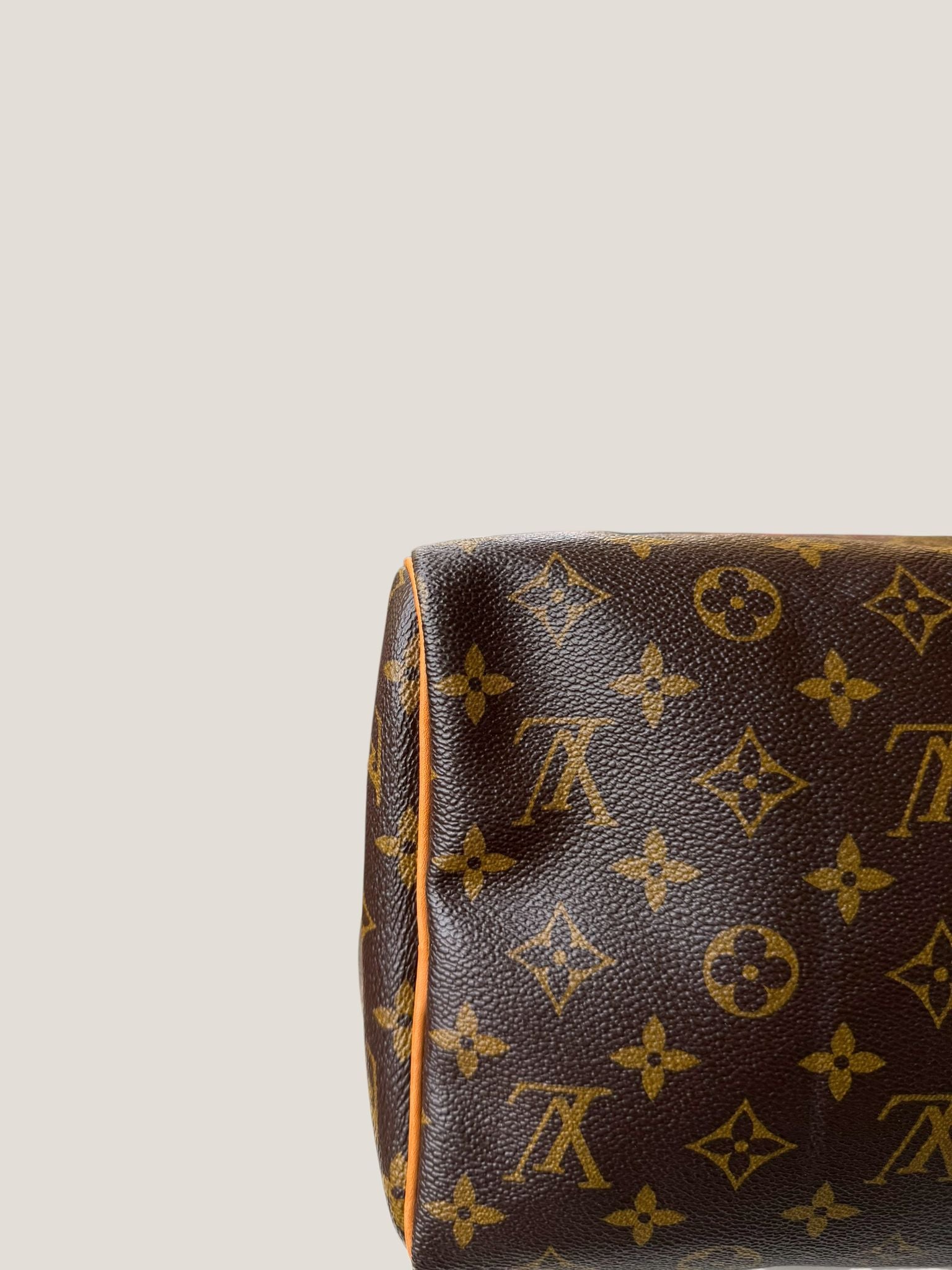 Louis Vuitton Speedy 30 Monogram