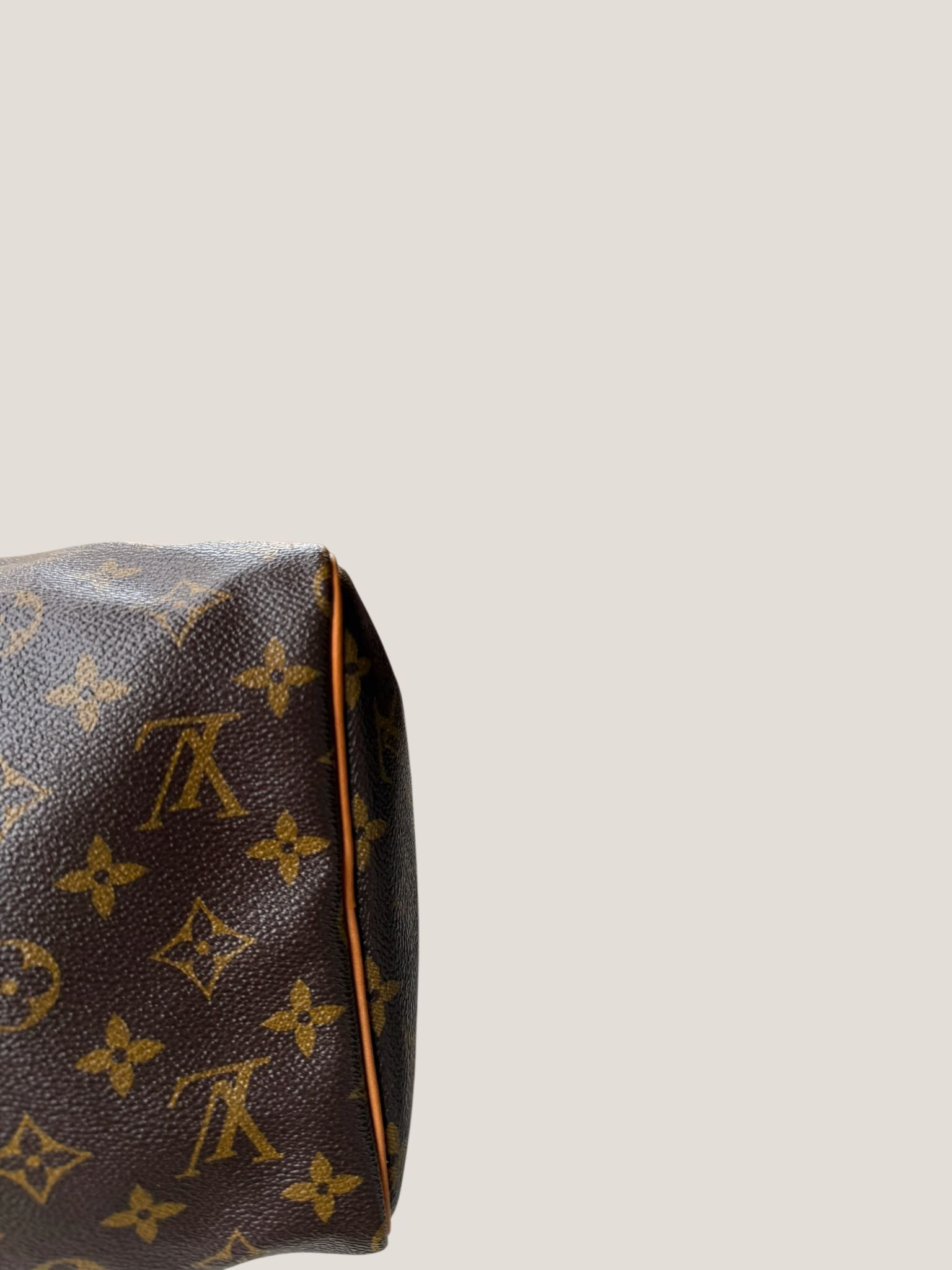 Louis Vuitton Speedy 30 Monogram